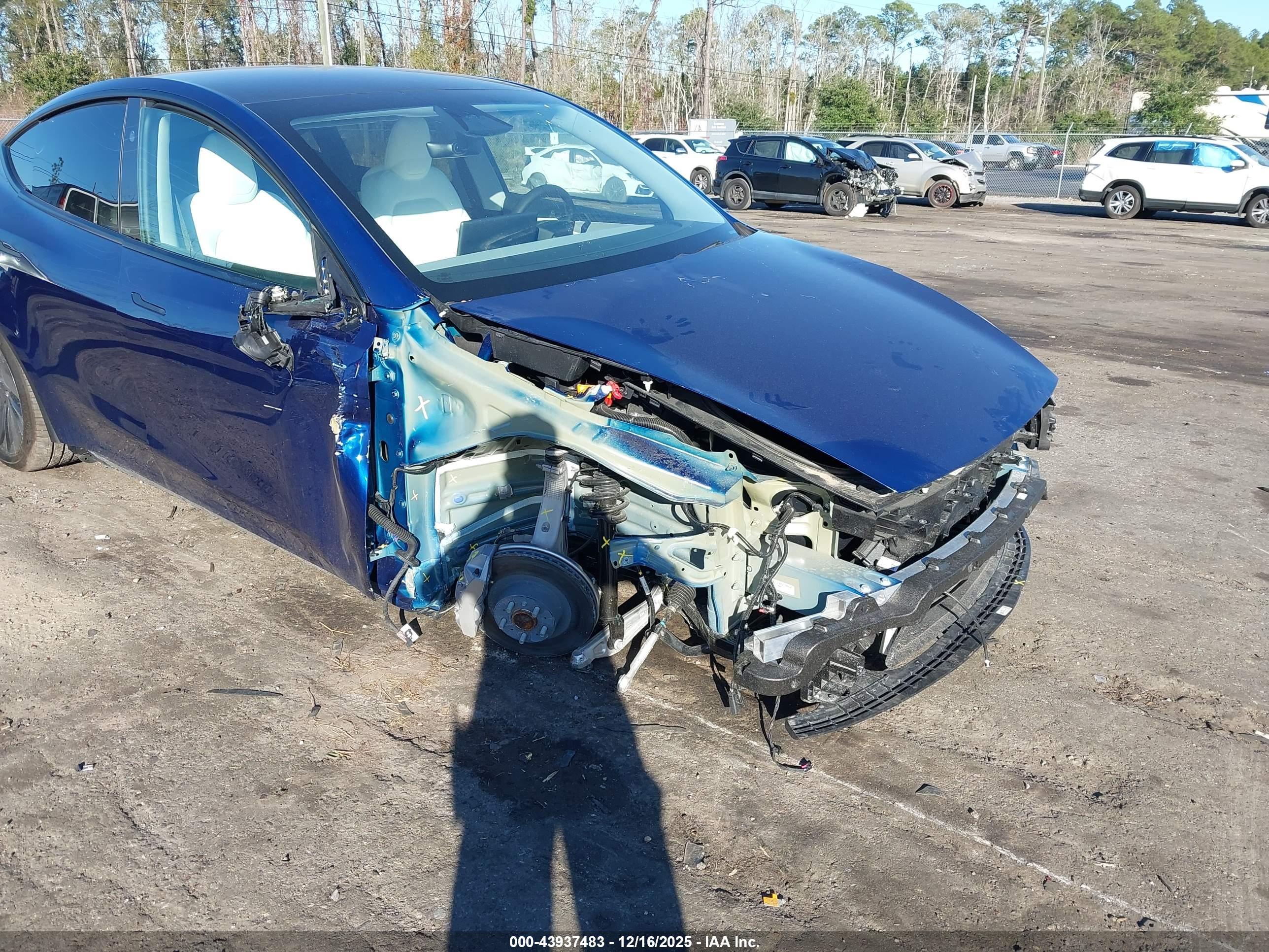 TESLA MODEL image 6