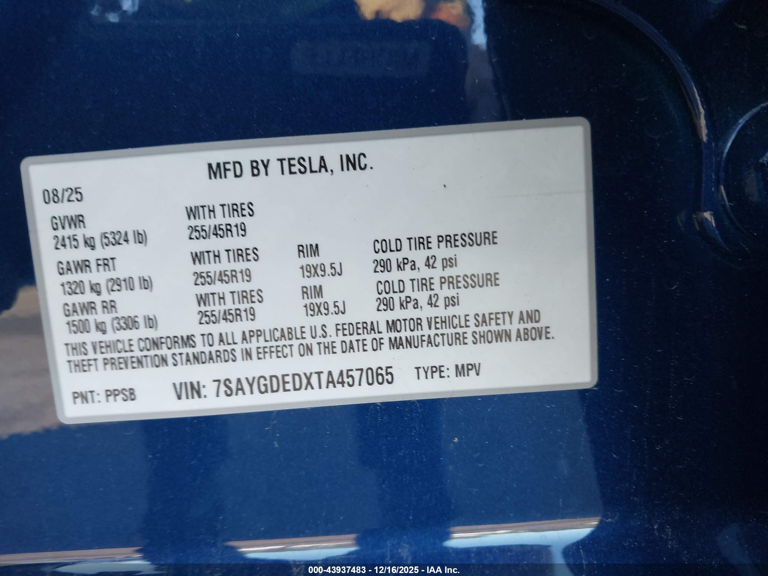TESLA MODEL image 9