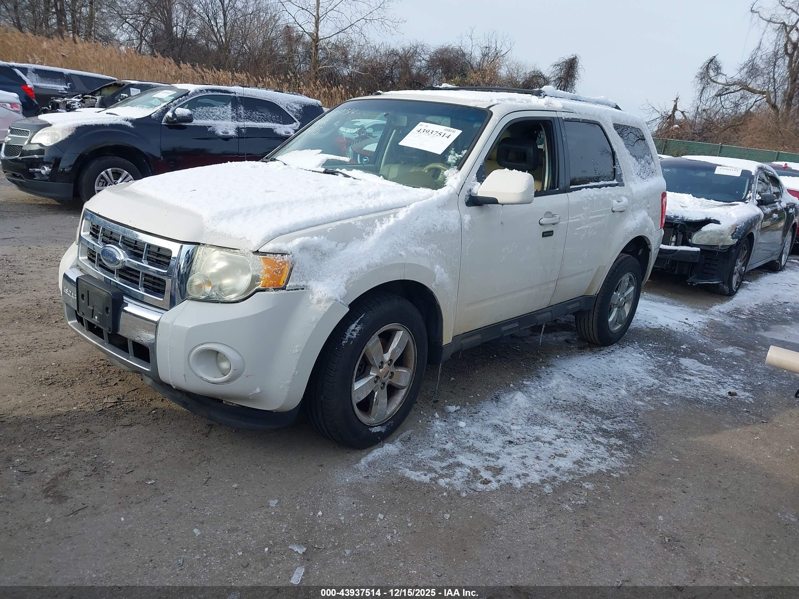 FORD ESCAPE image 2