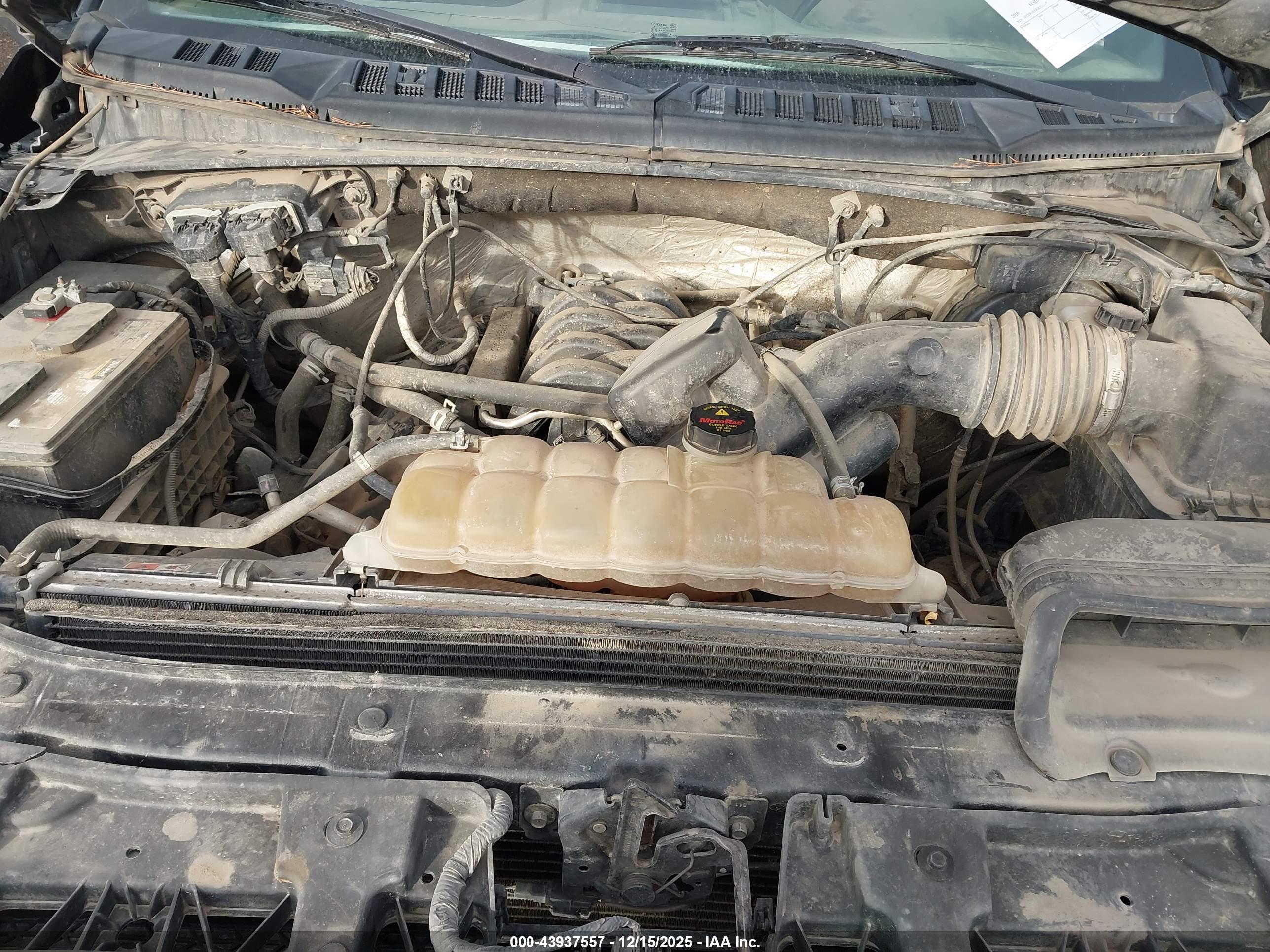 FORD F-150 image 10