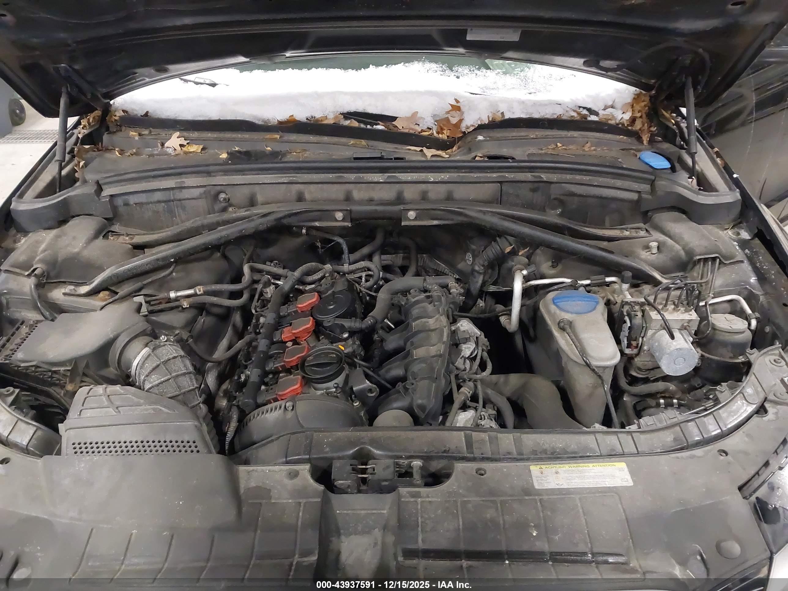 AUDI Q5 image 10
