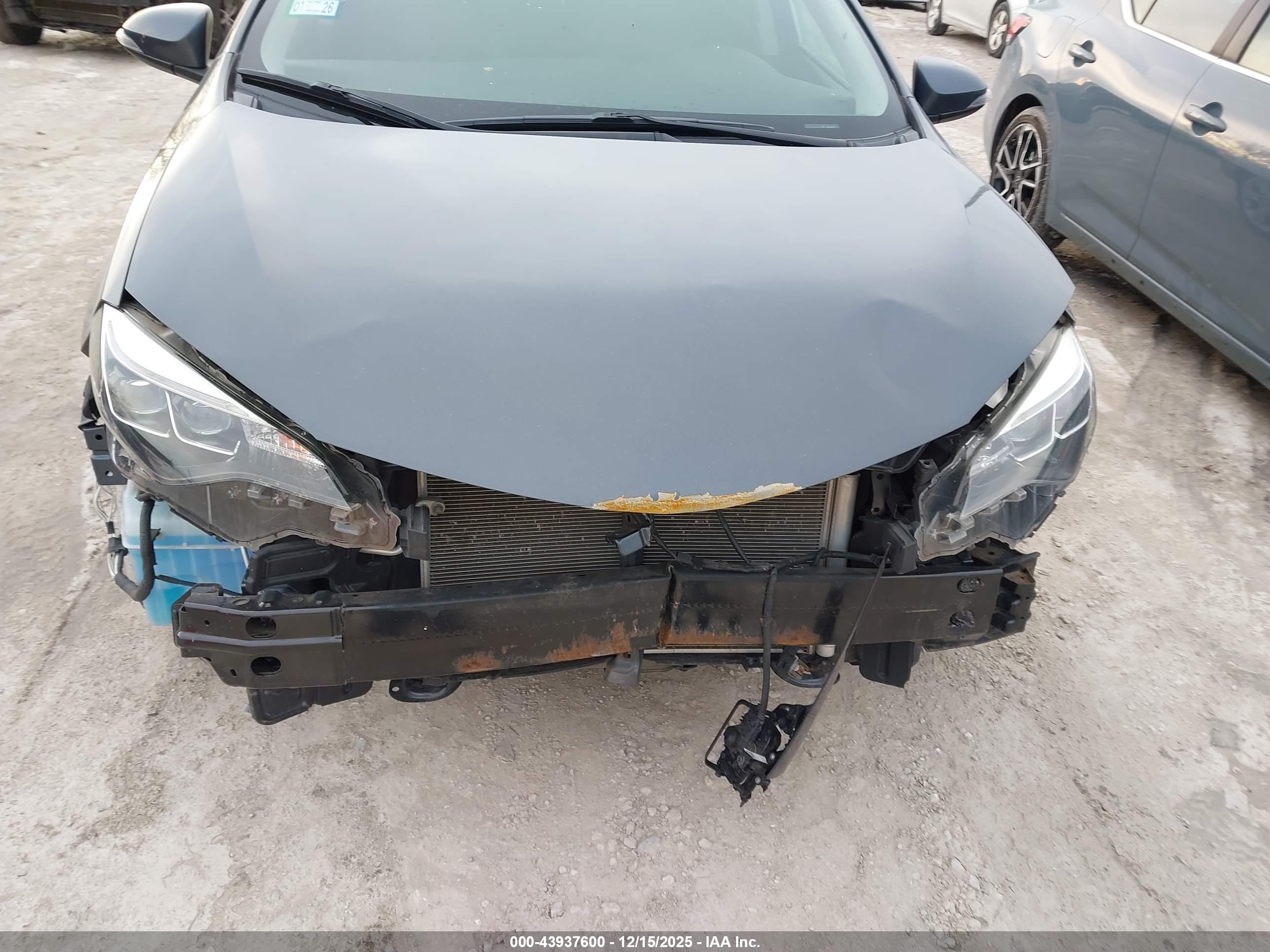 TOYOTA COROLLA image 6