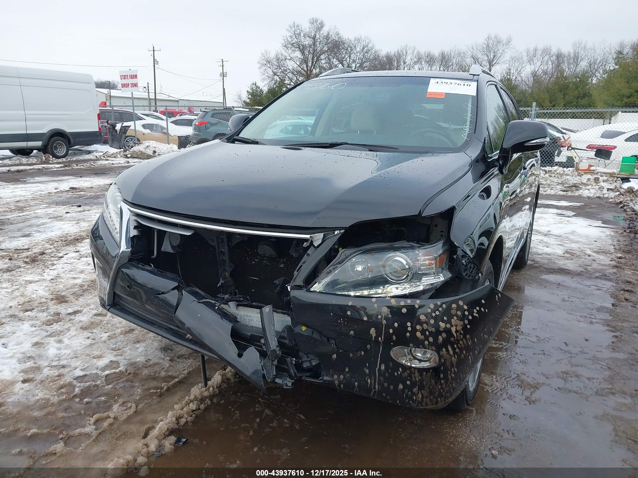 LEXUS RX image 6