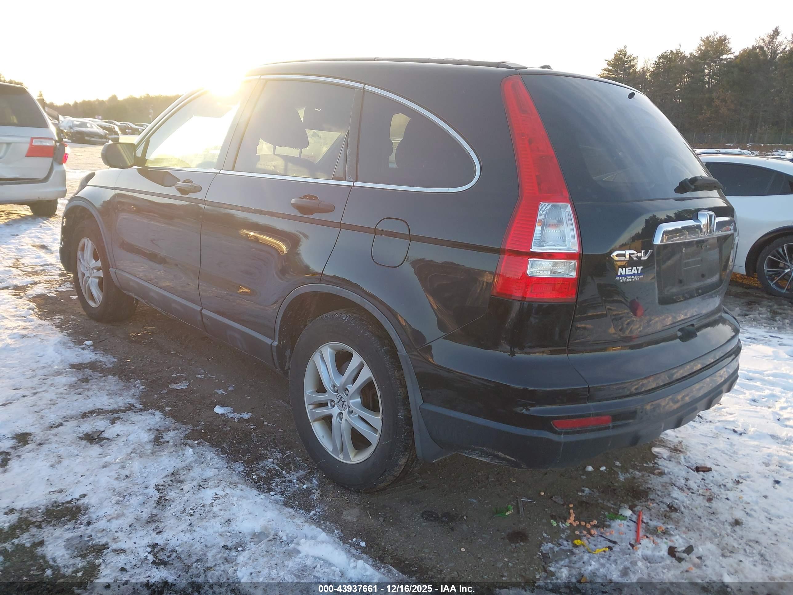 HONDA CR-V image 3