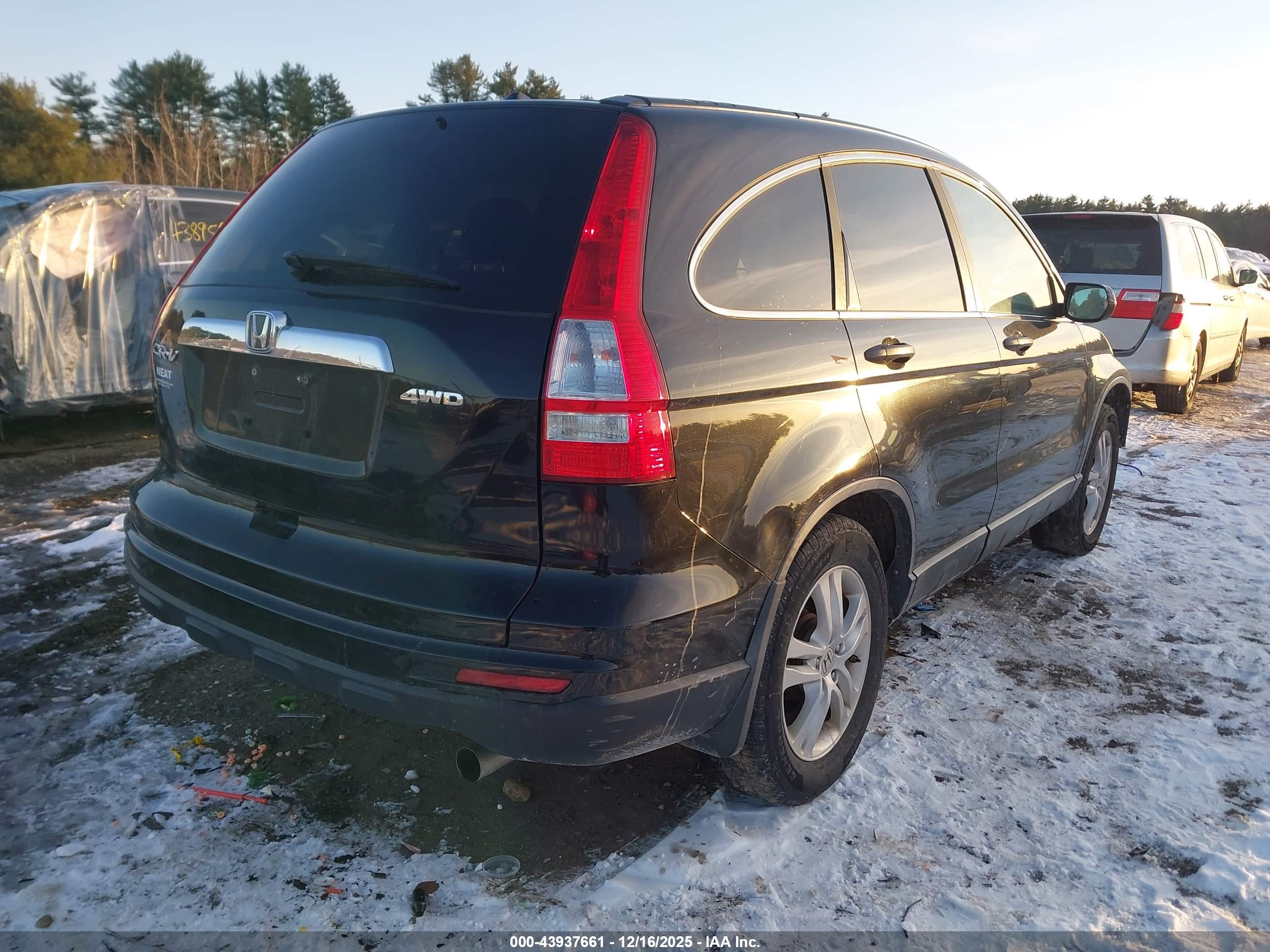 HONDA CR-V image 4