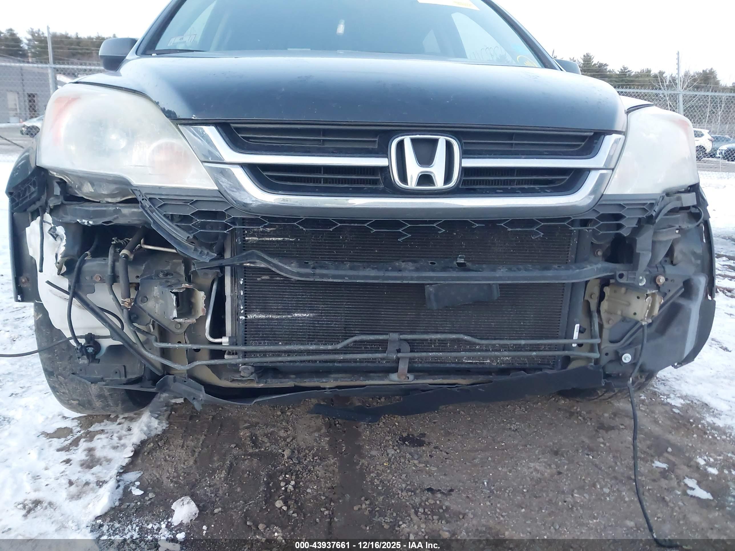 HONDA CR-V image 6