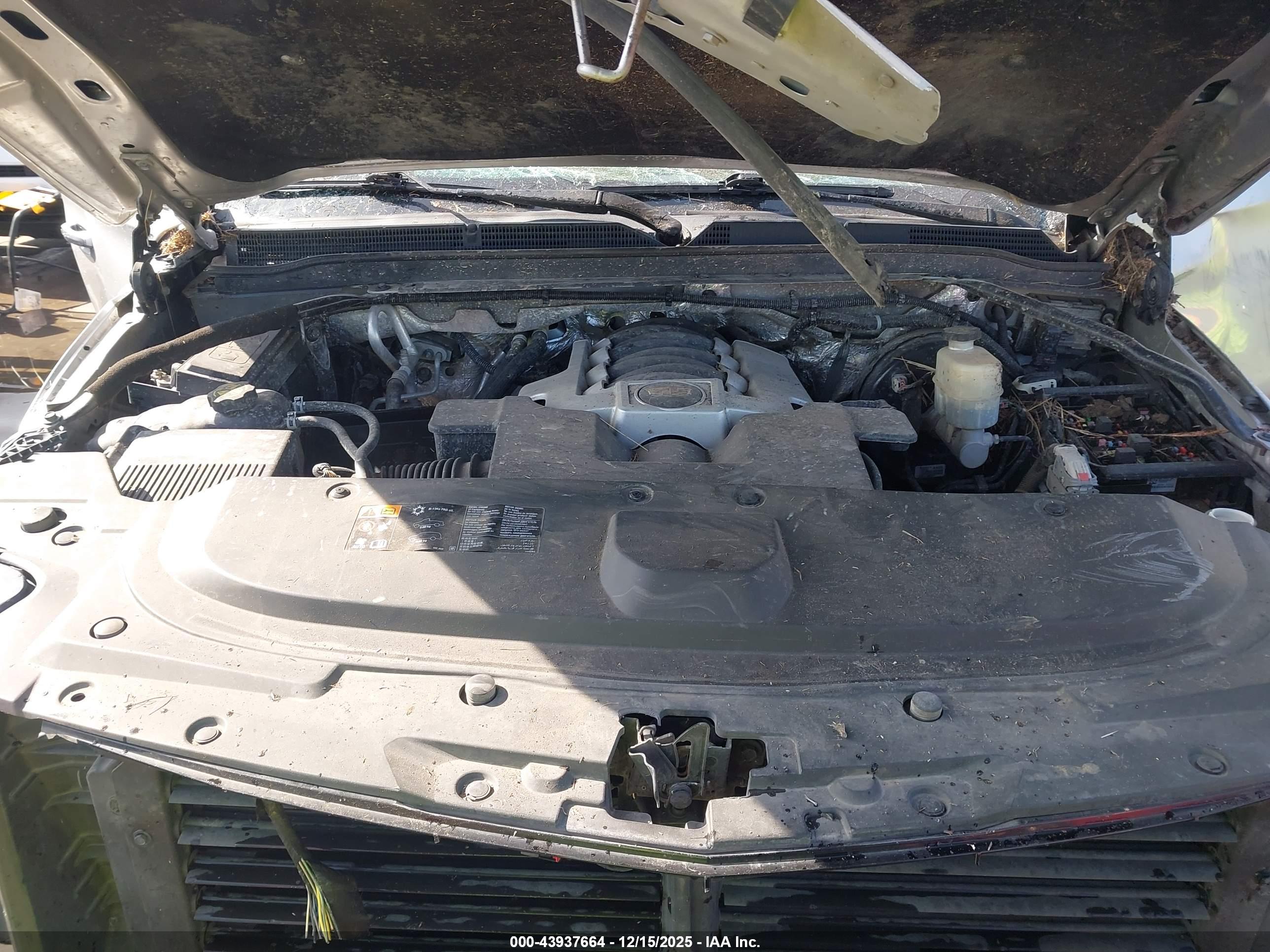 CADILLAC ESCALADE image 10