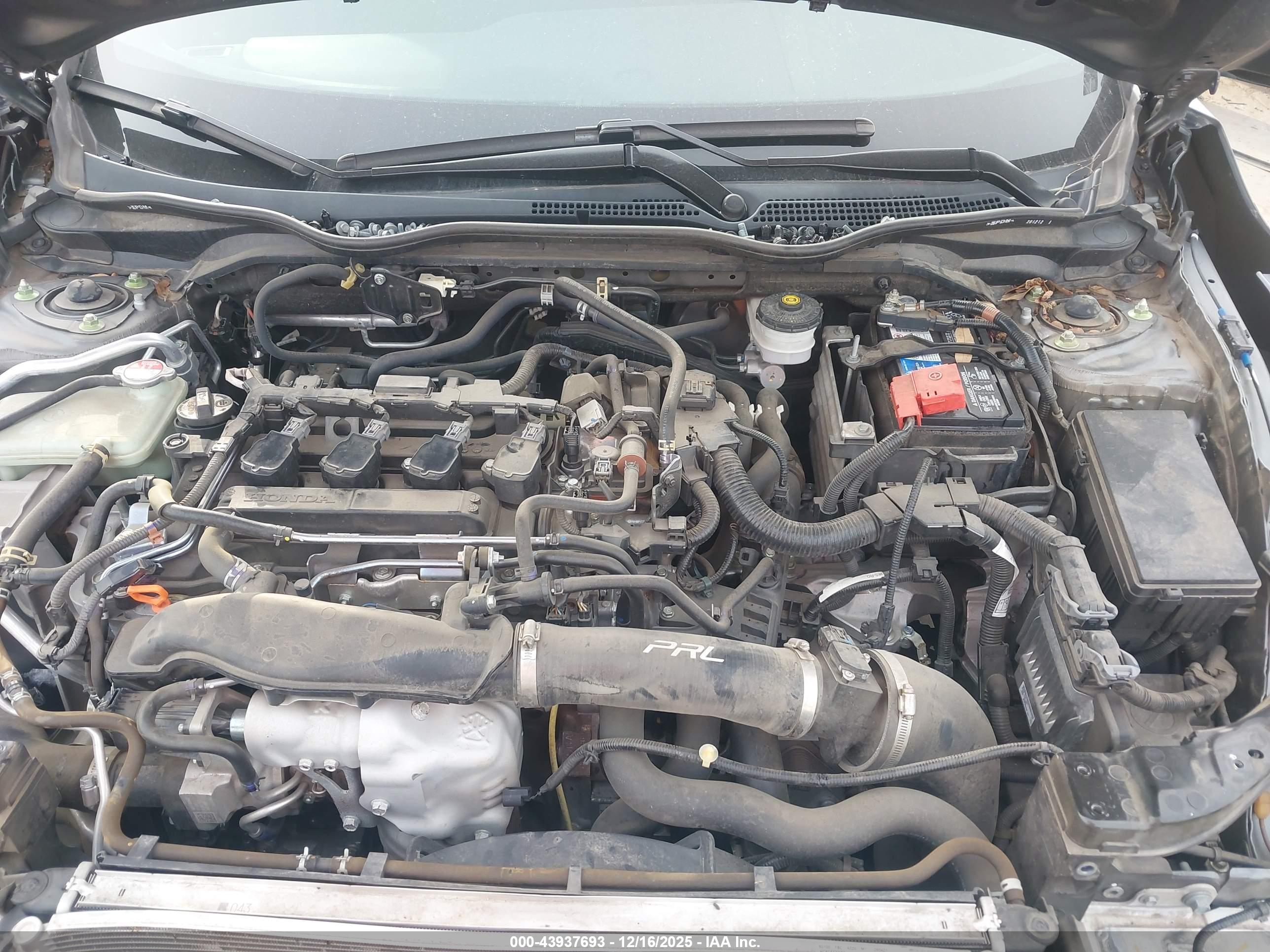 HONDA CIVIC image 10