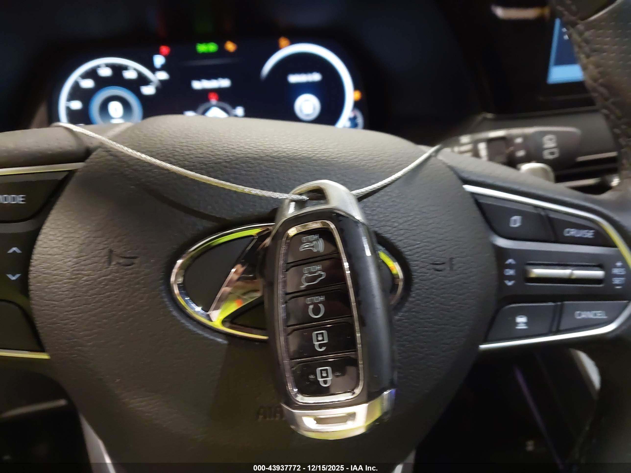 HYUNDAI PALISADE image 11