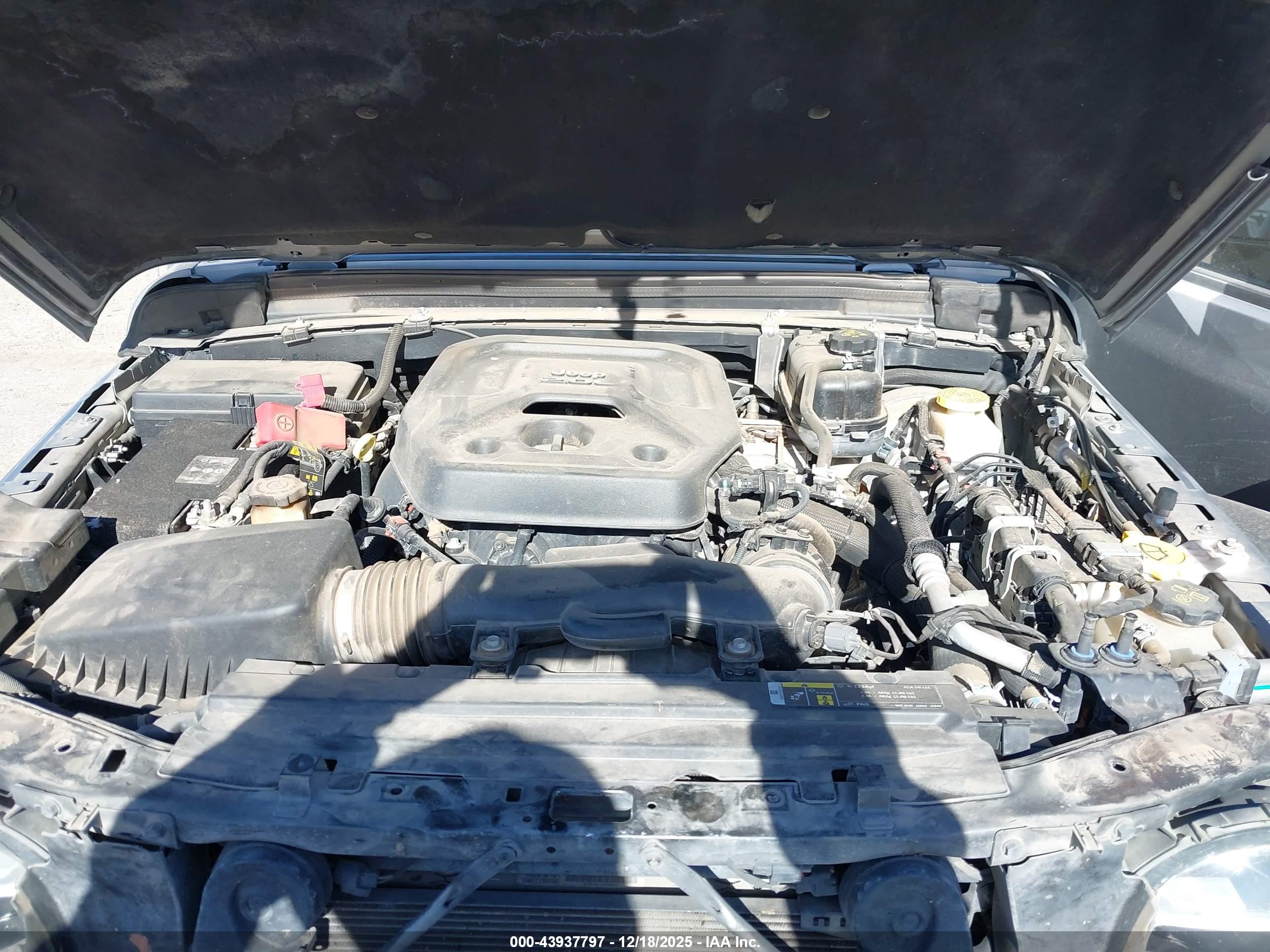 JEEP WRANGLER image 10