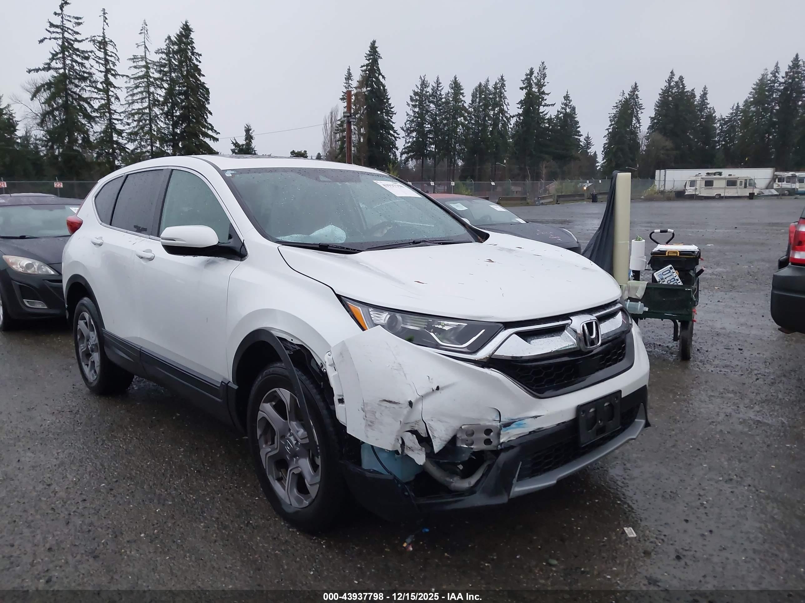 HONDA CR-V image 6