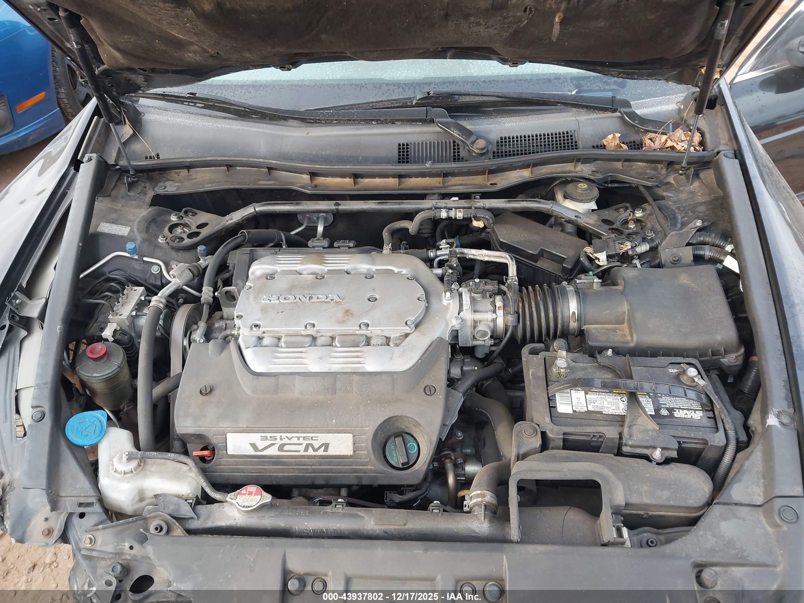 HONDA ACCORD image 10