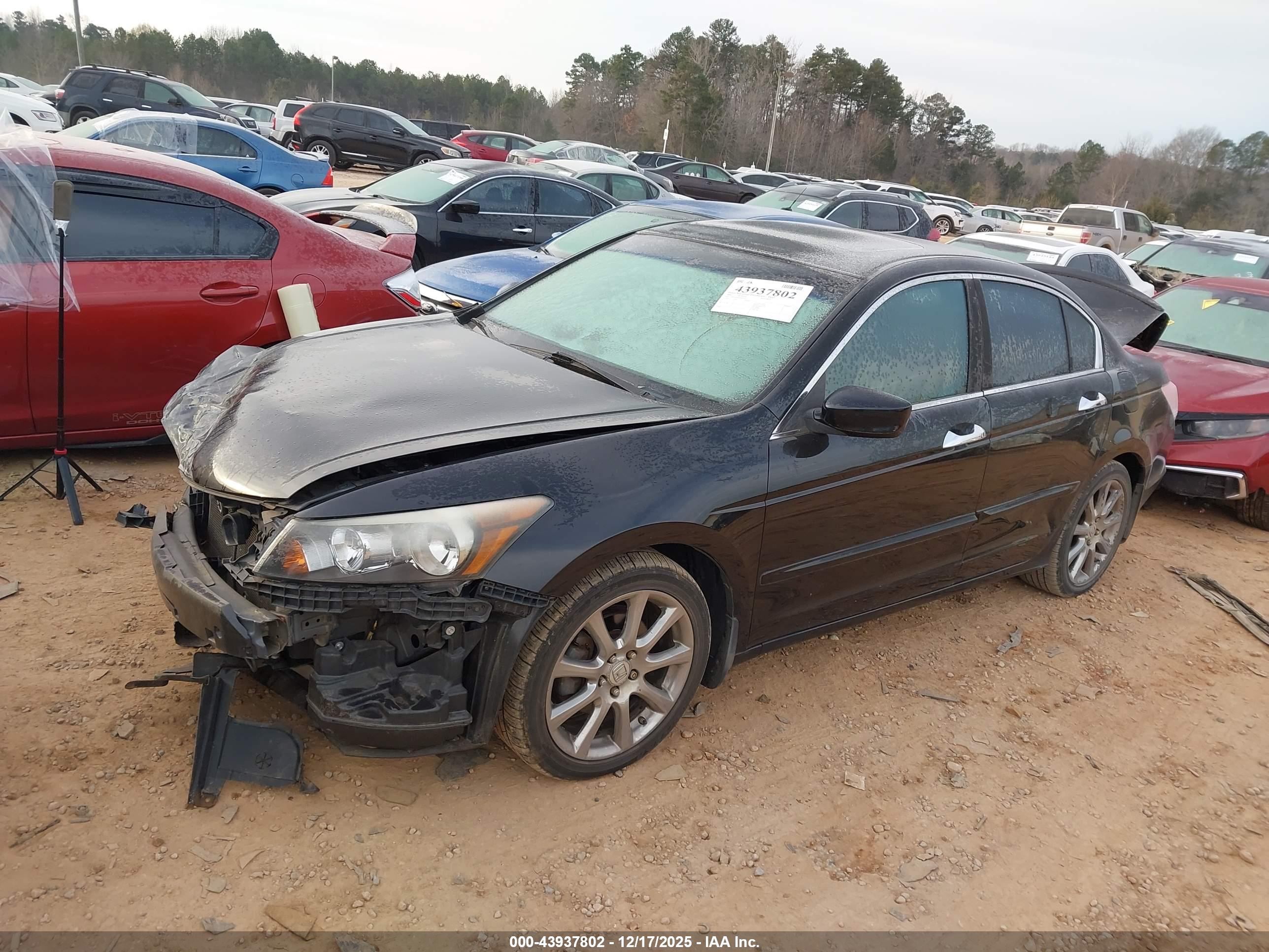 HONDA ACCORD image 2