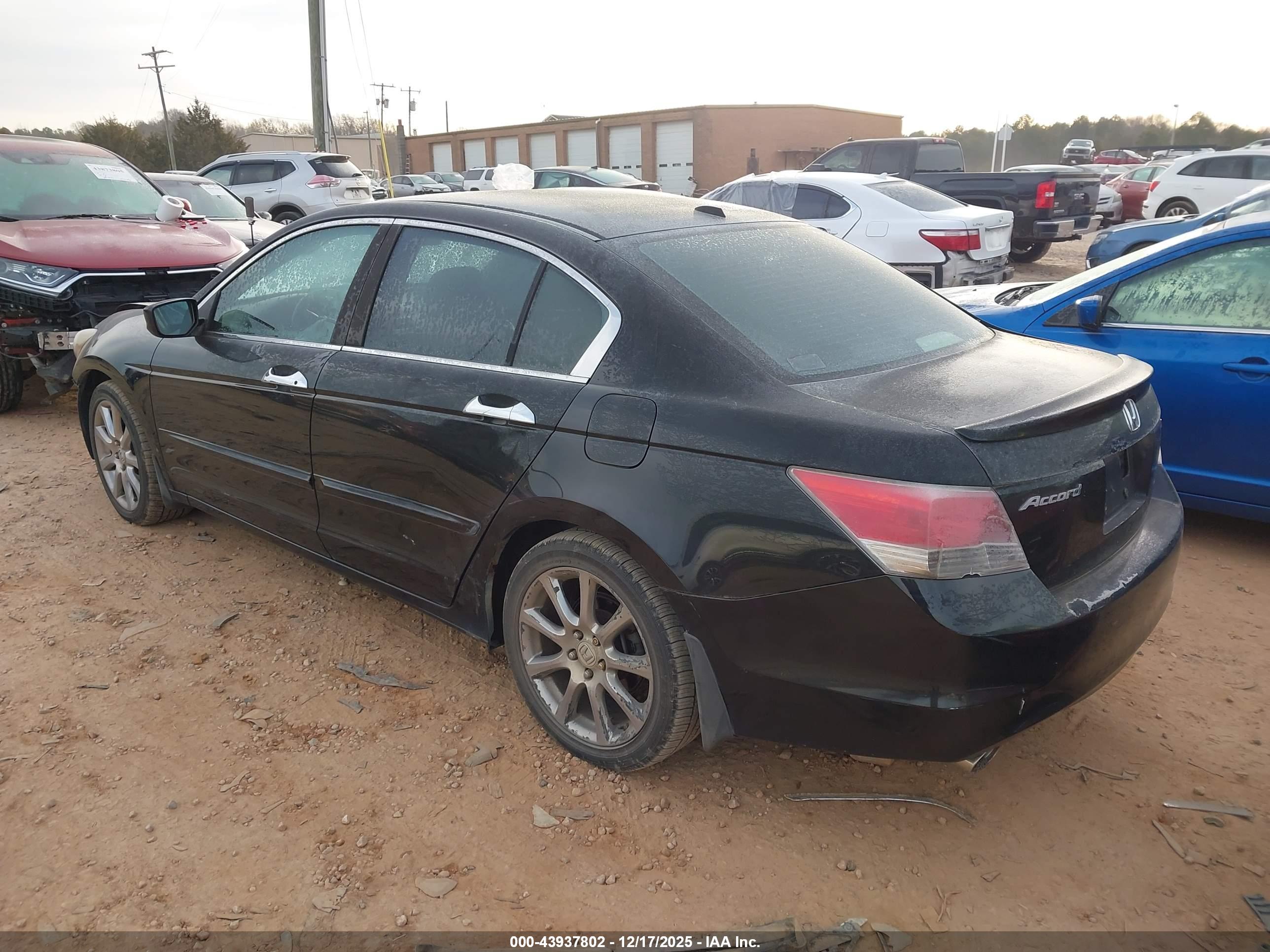 HONDA ACCORD image 3