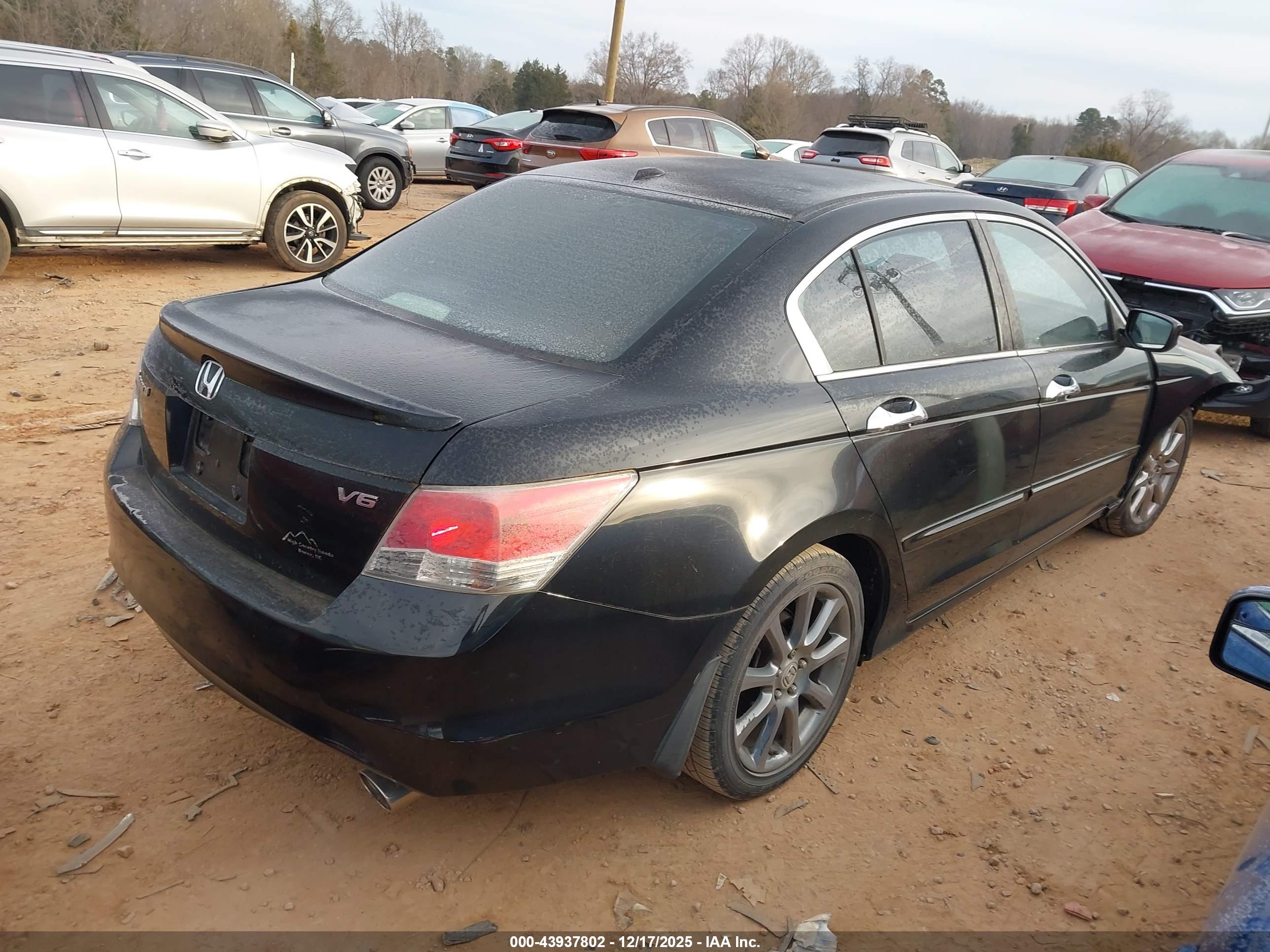 HONDA ACCORD image 4