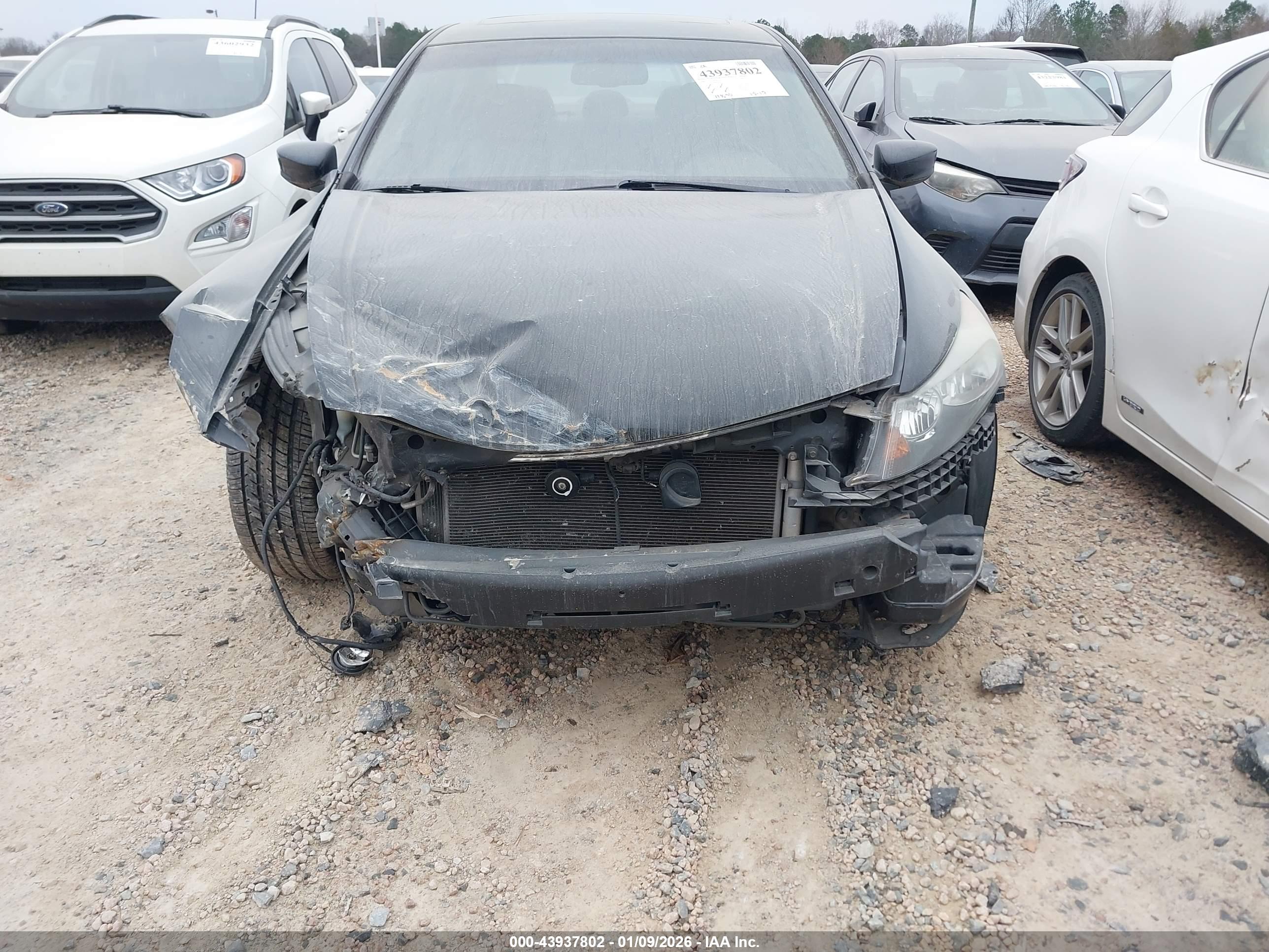 HONDA ACCORD image 6