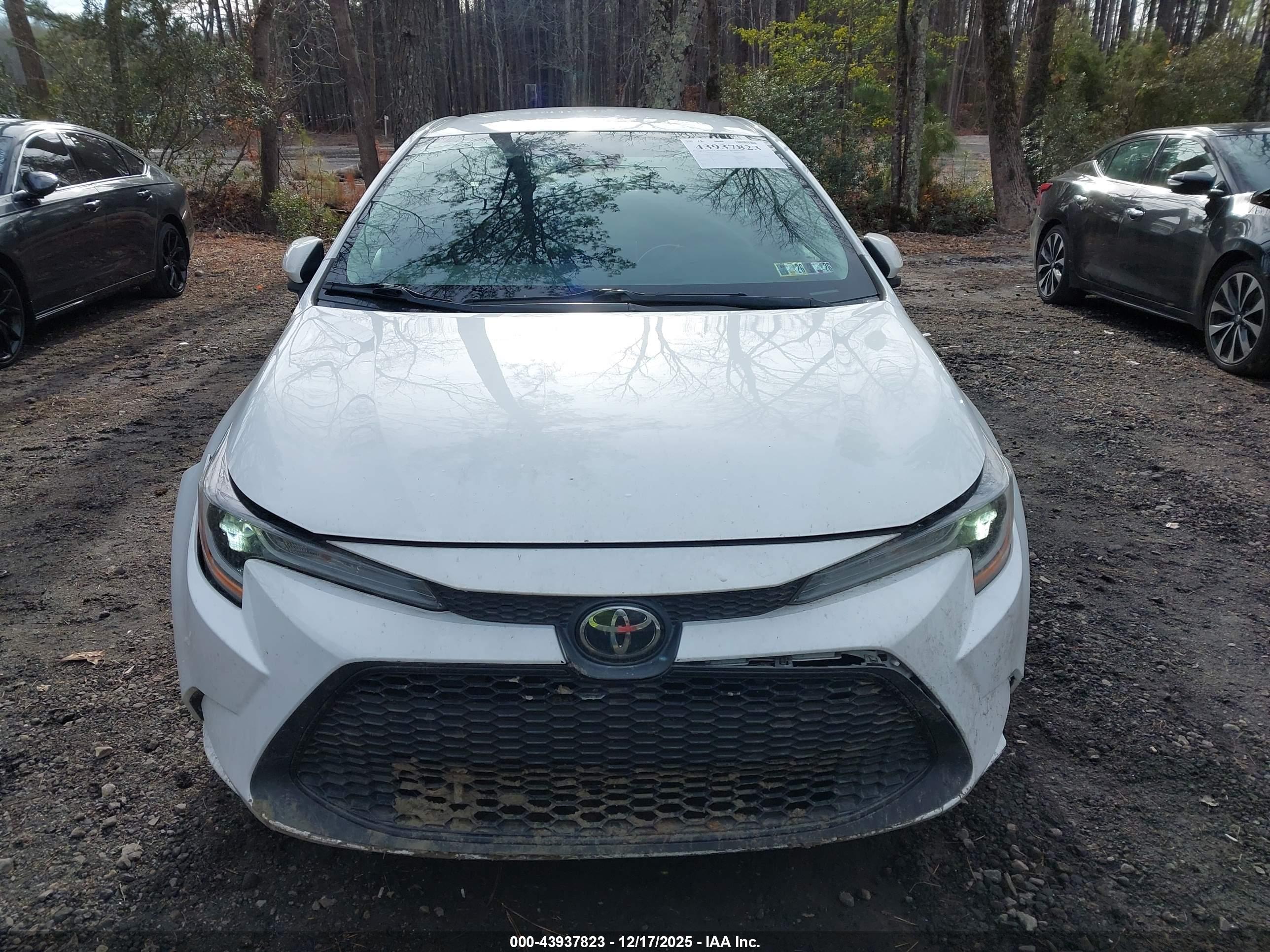 TOYOTA COROLLA image 6