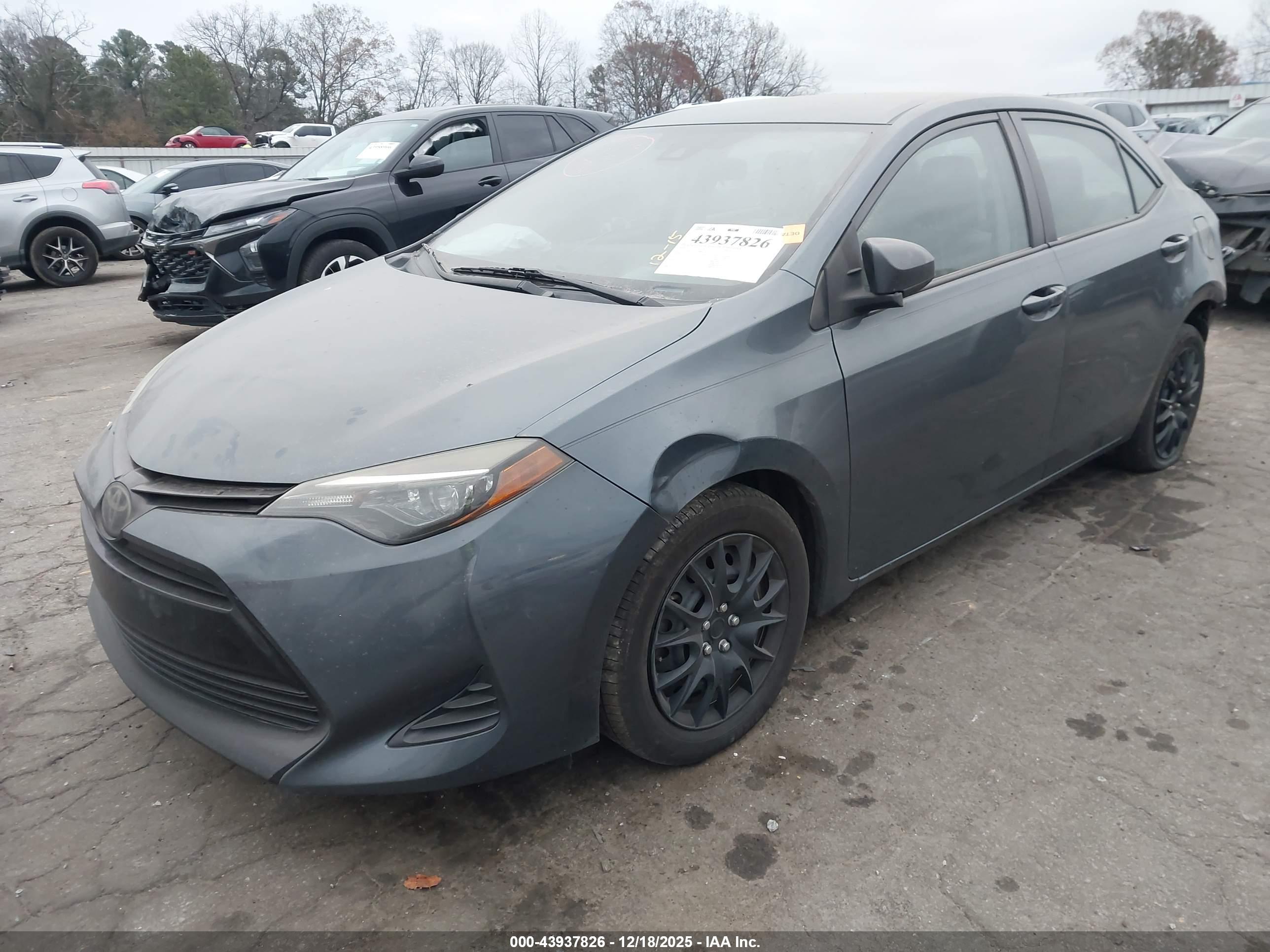 TOYOTA COROLLA image 2