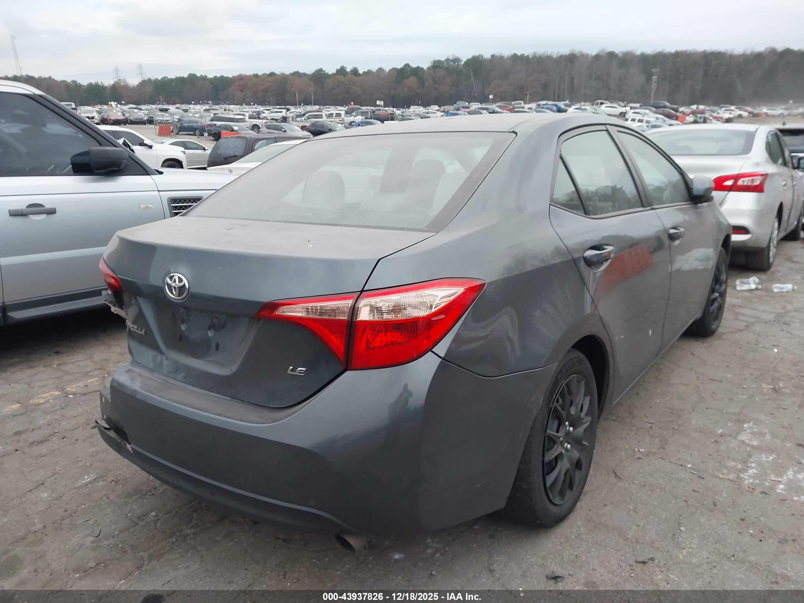 TOYOTA COROLLA image 4