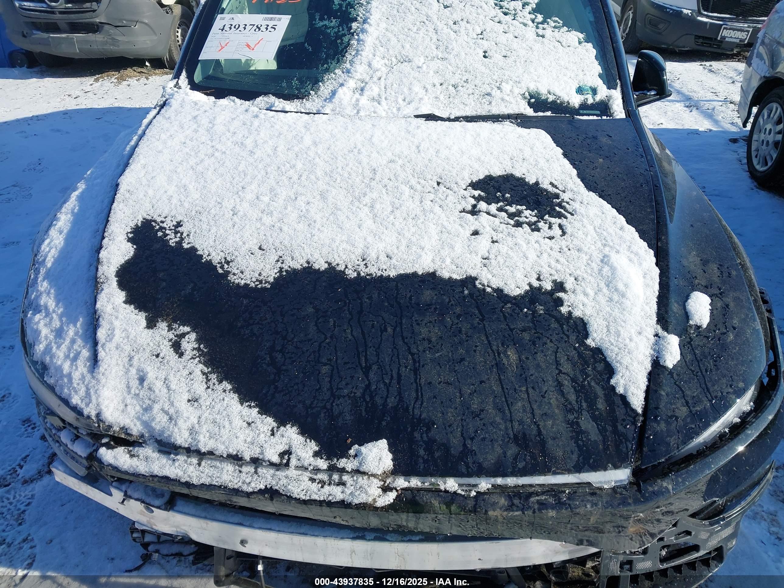 TESLA MODEL image 10