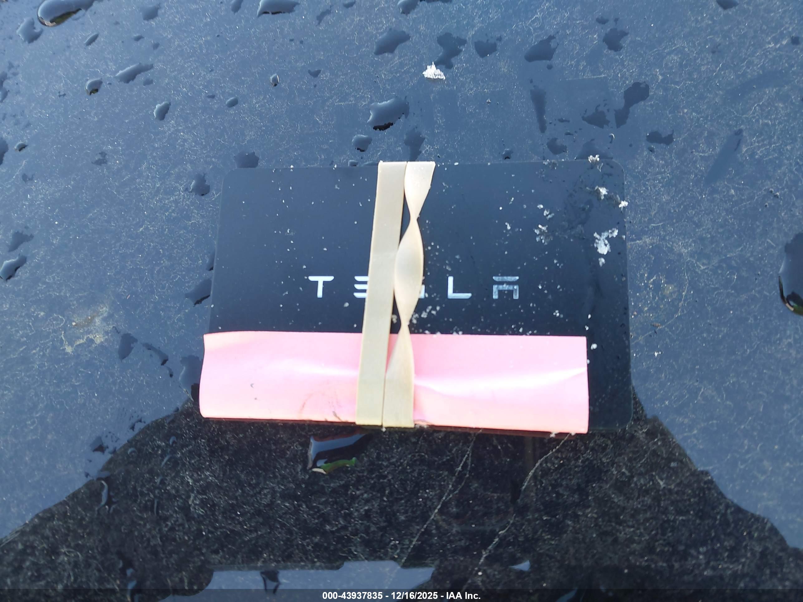 TESLA MODEL image 11