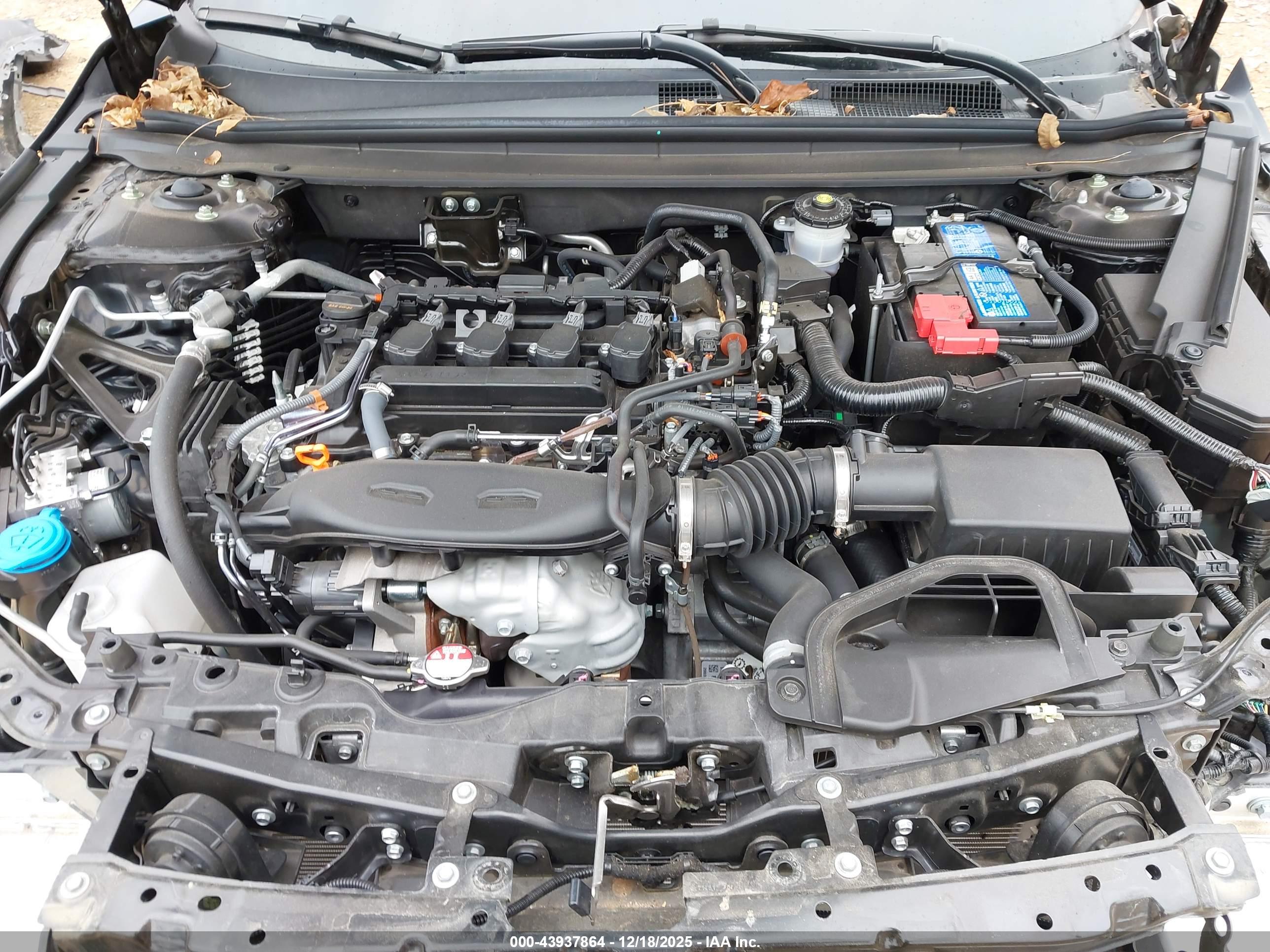 HONDA ACCORD image 10