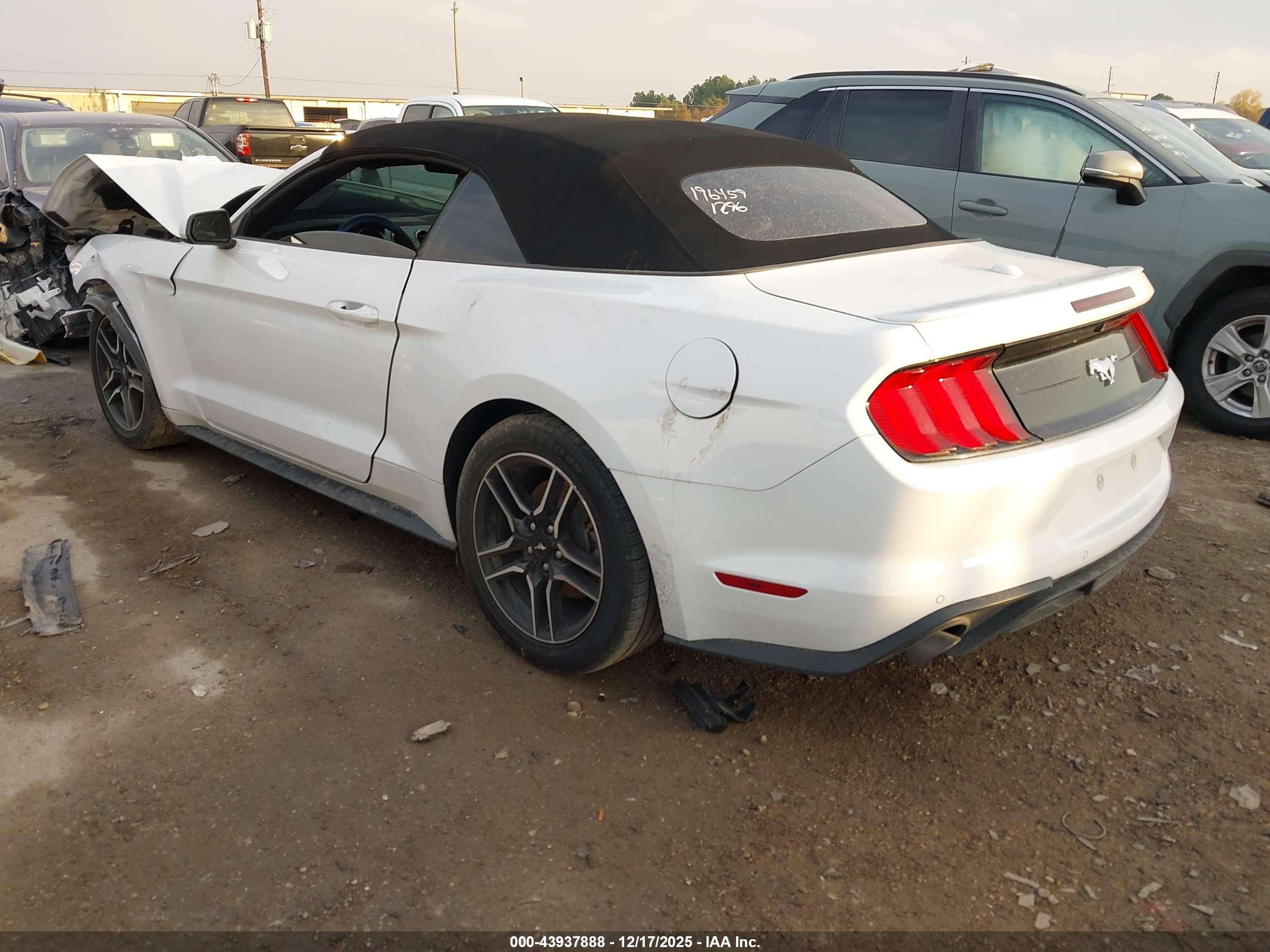 FORD MUSTANG image 3