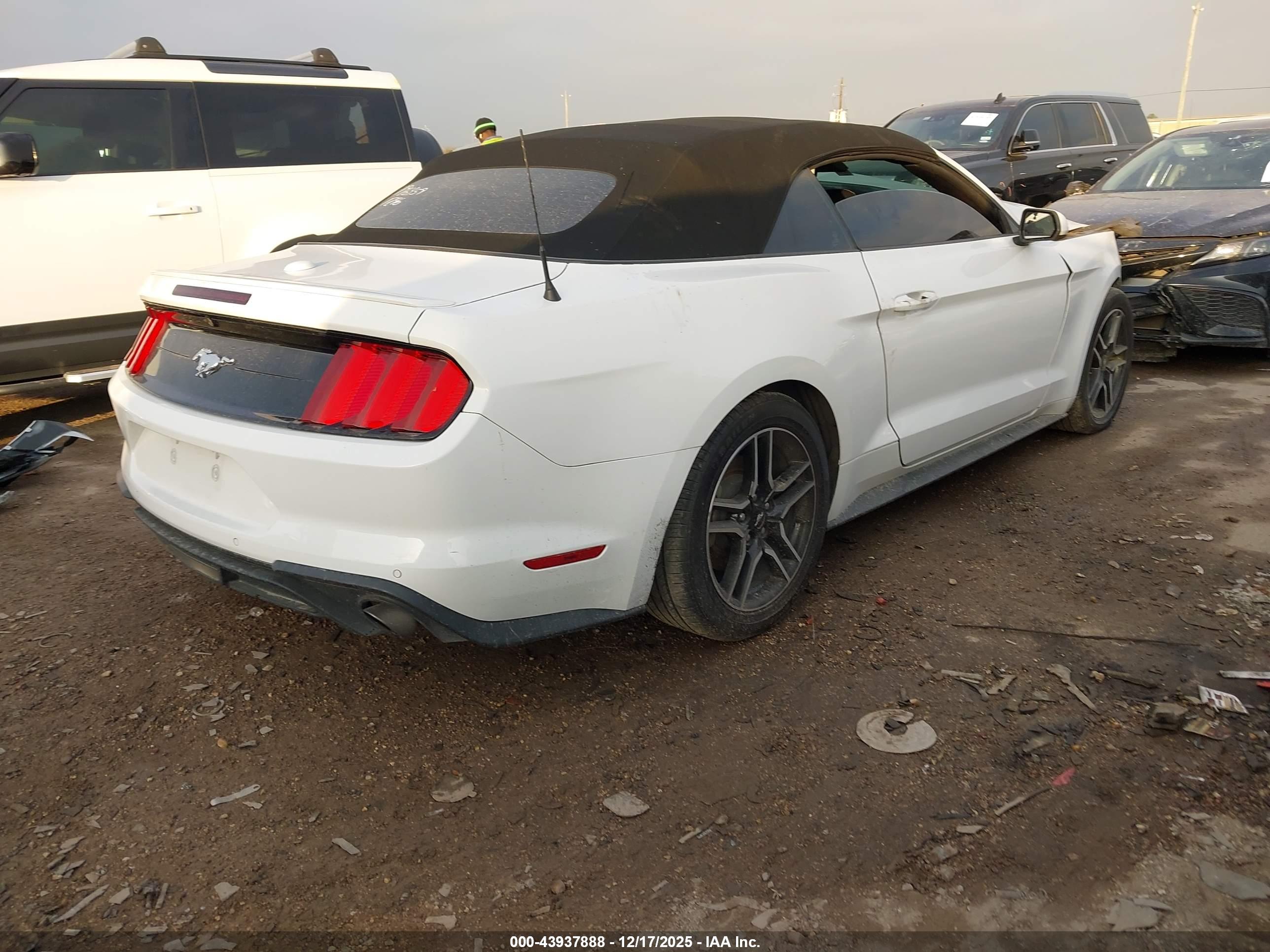 FORD MUSTANG image 4