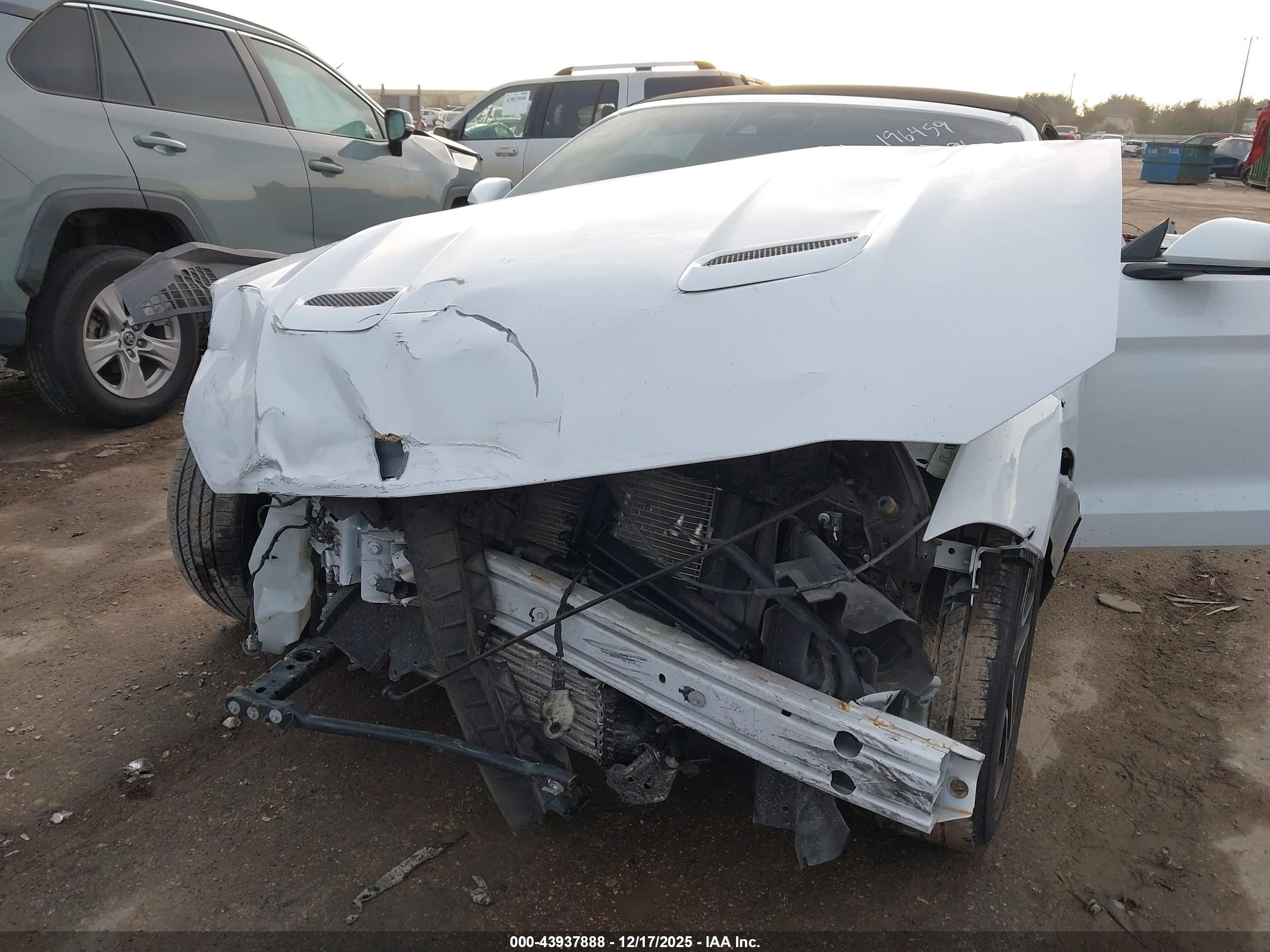 FORD MUSTANG image 6