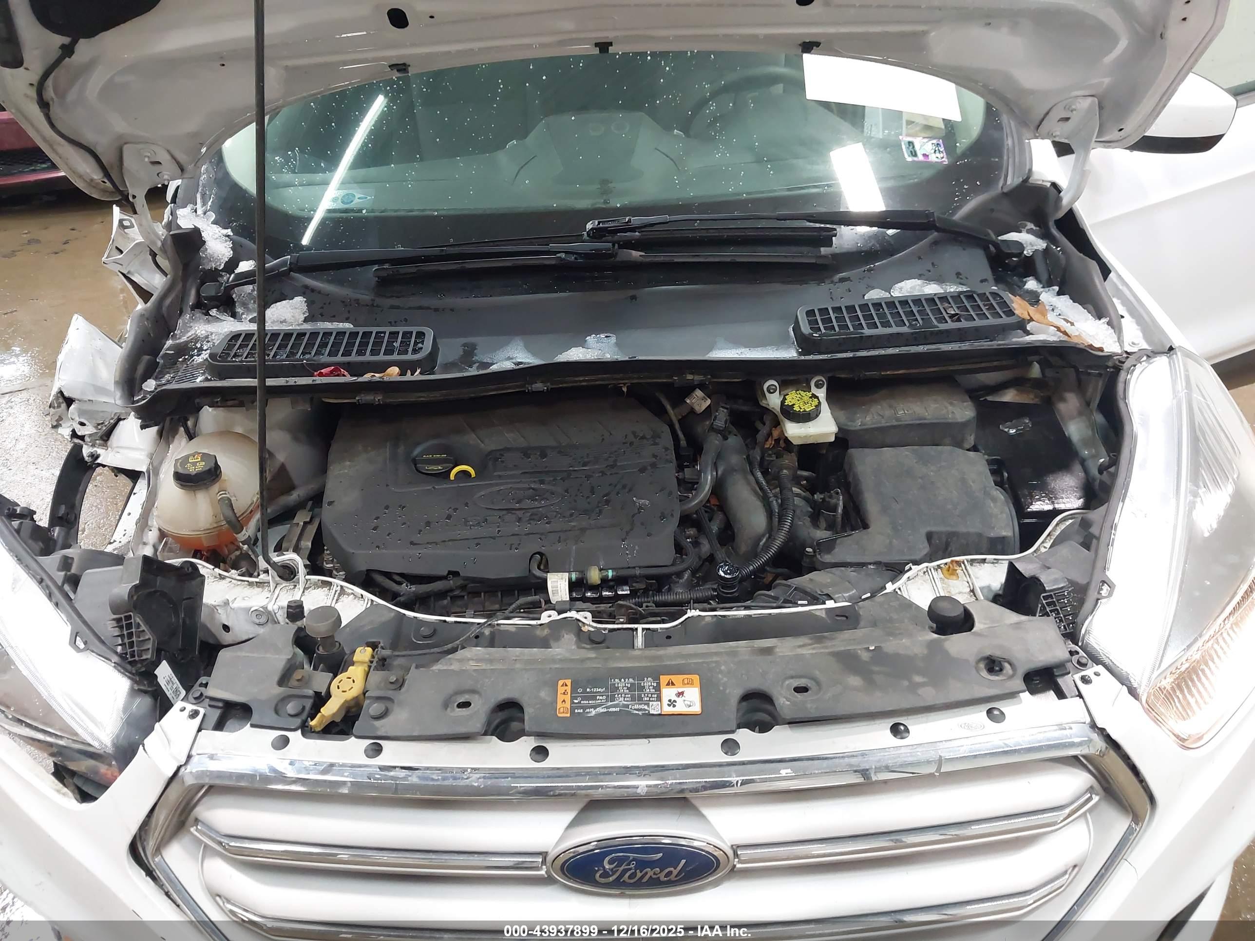 FORD ESCAPE image 10