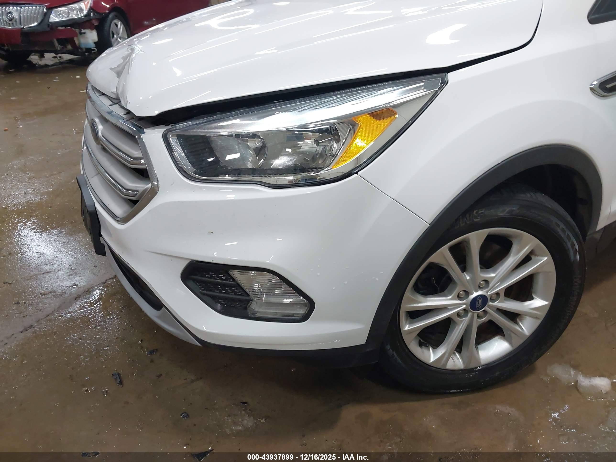 FORD ESCAPE image 6