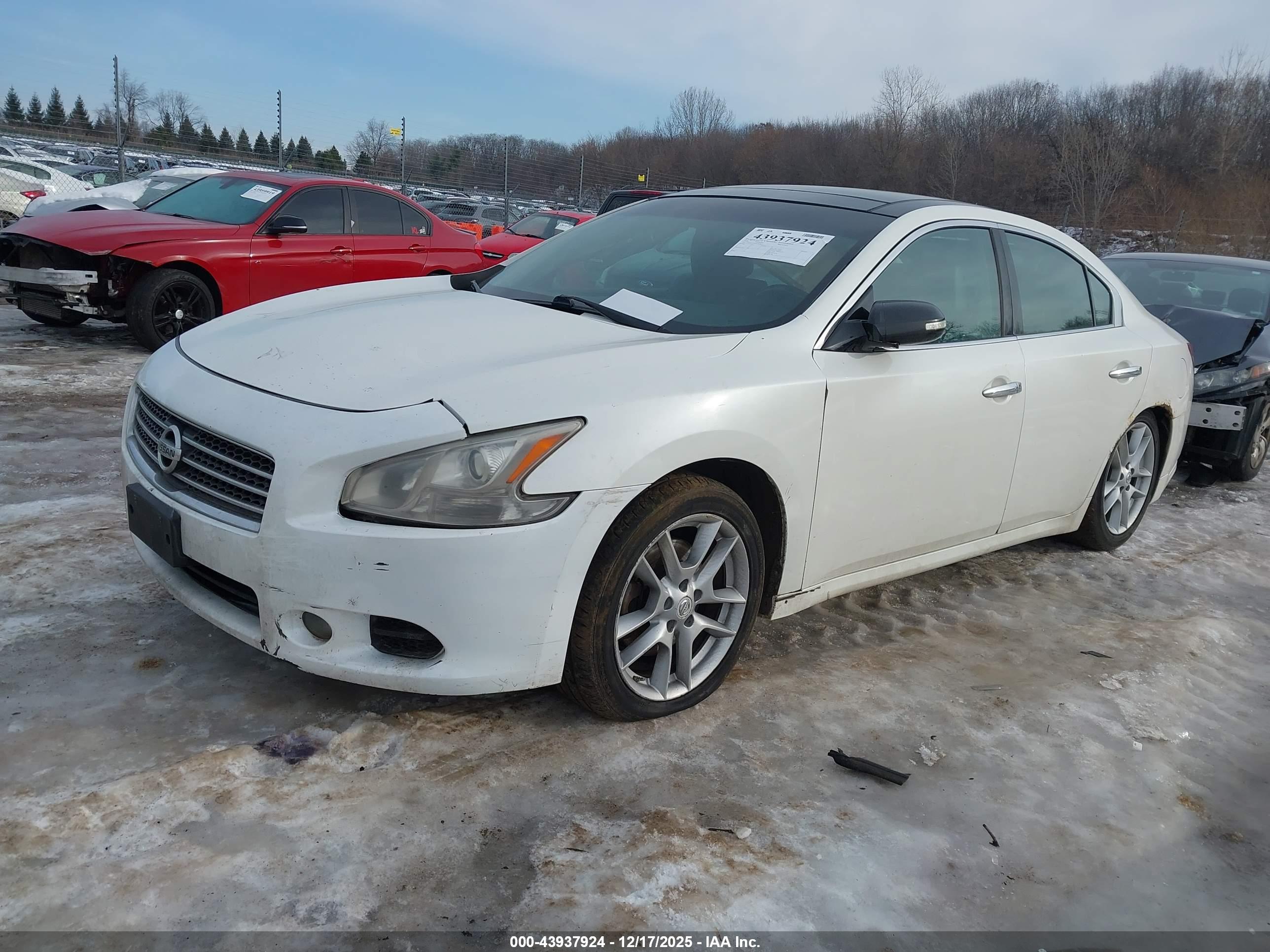 NISSAN MAXIMA image 2