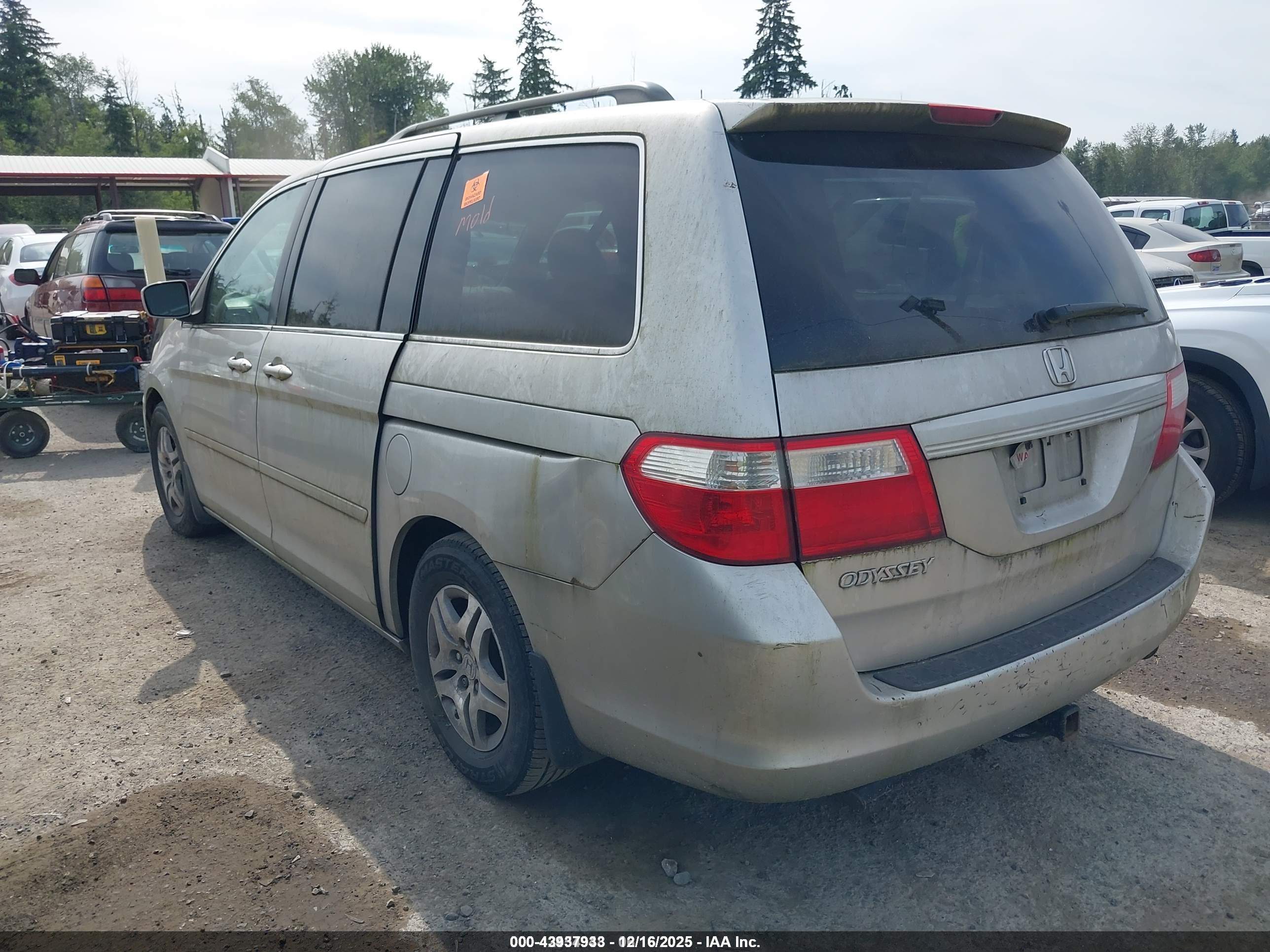 HONDA ODYSSEY image 3