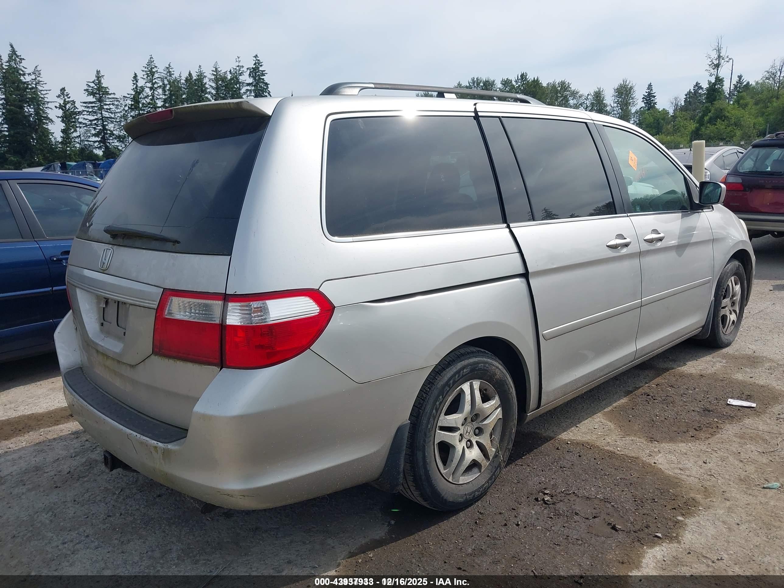 HONDA ODYSSEY image 4