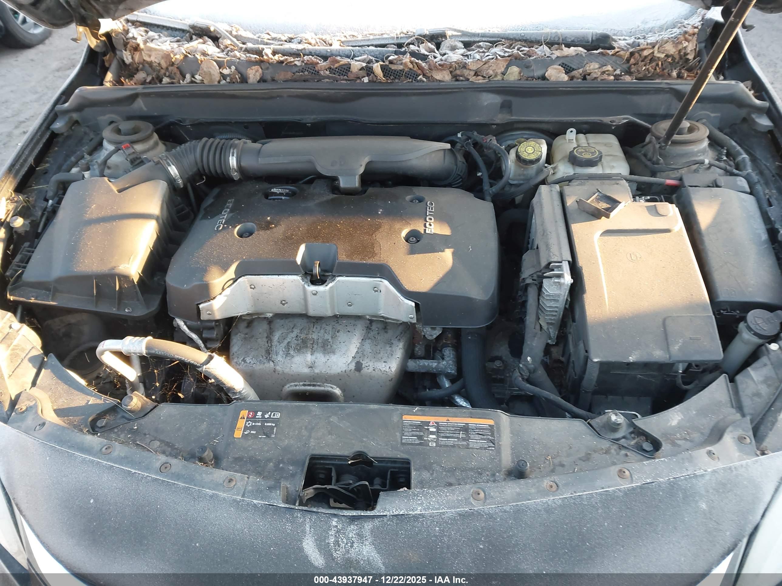 CHEVROLET MALIBU image 10
