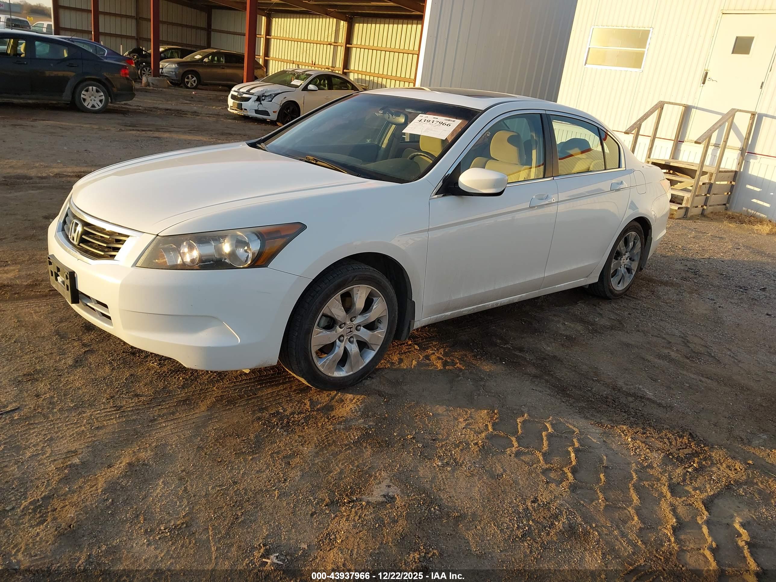 HONDA ACCORD image 2