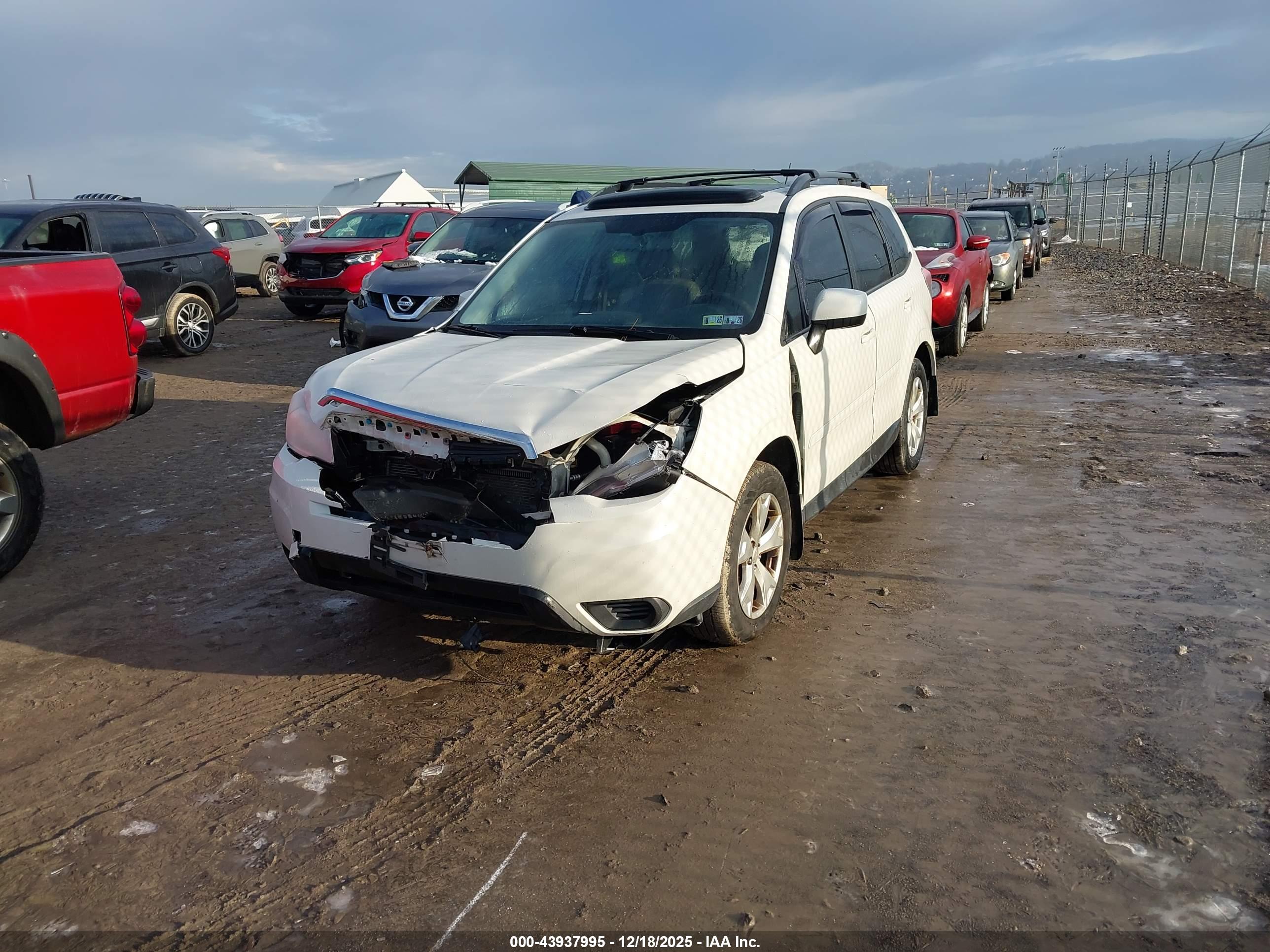 SUBARU FORESTER image 2