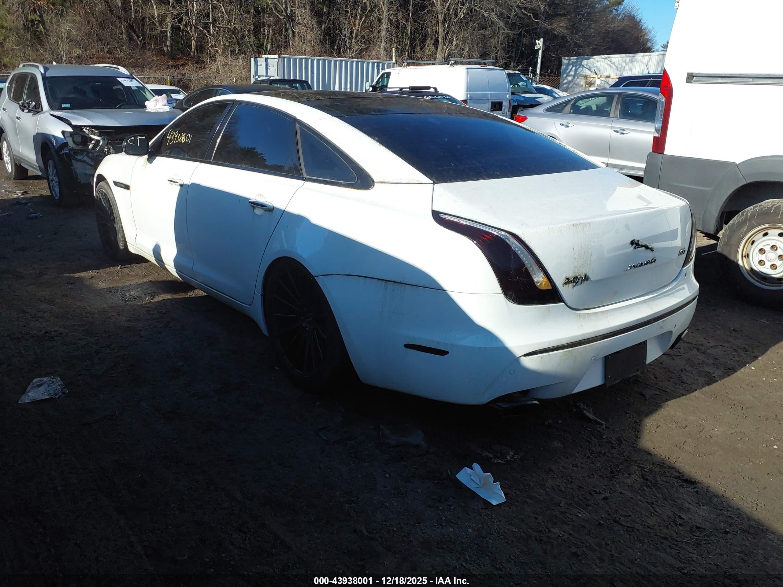 JAGUAR XJ image 3