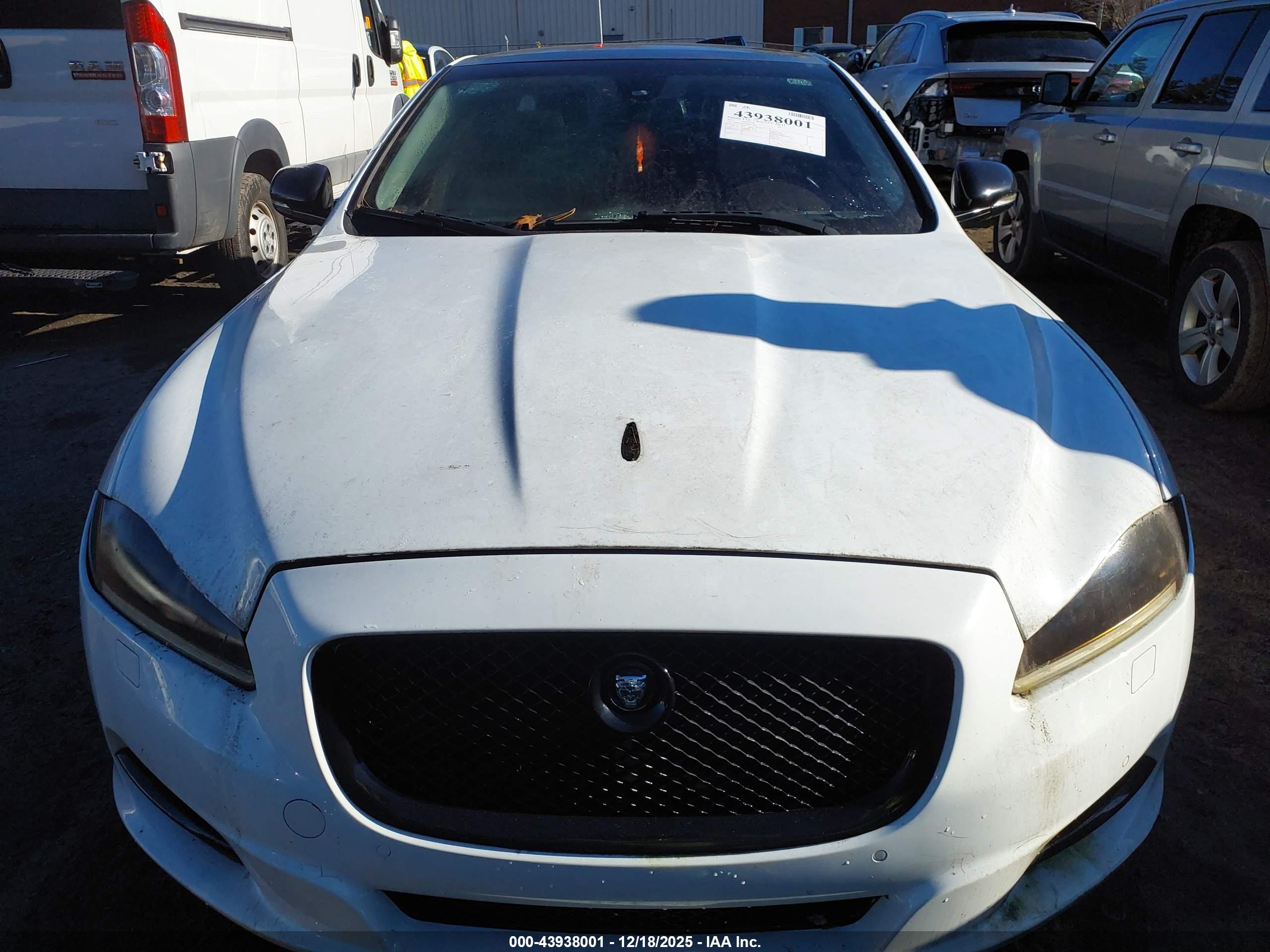 JAGUAR XJ image 6