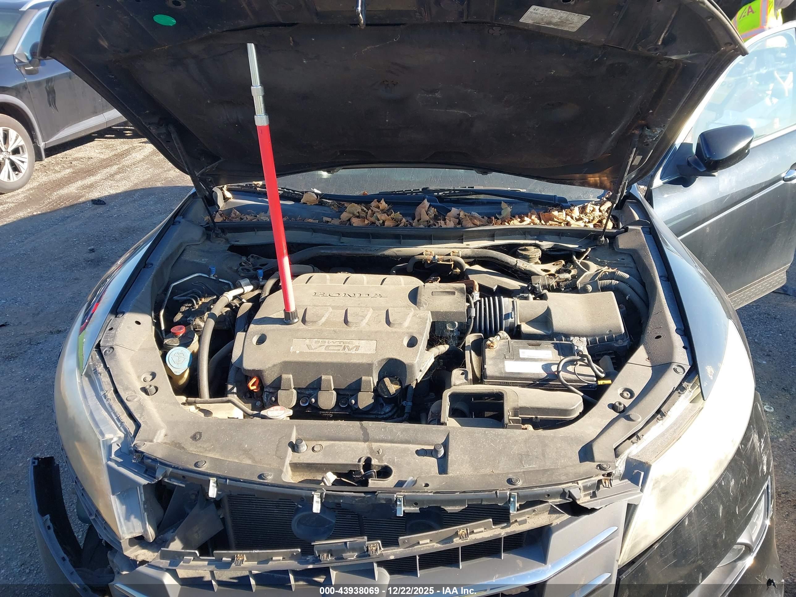 HONDA ACCORD image 10