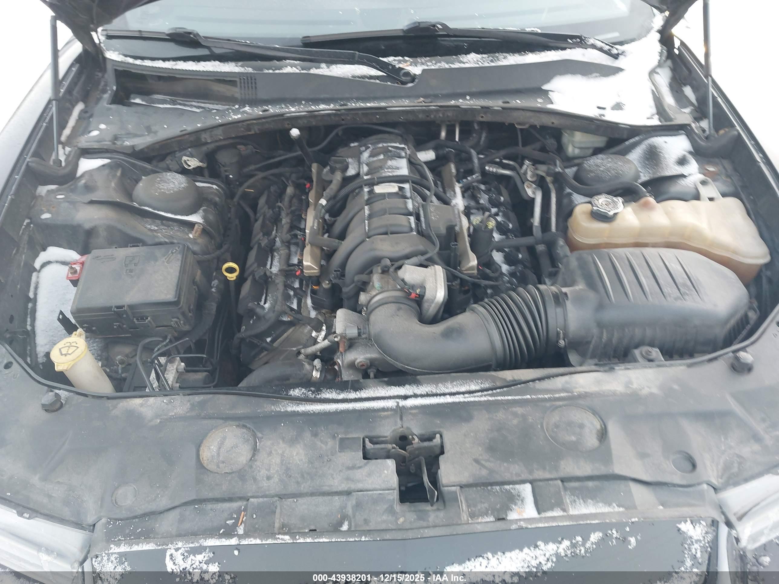 DODGE CHARGER image 10