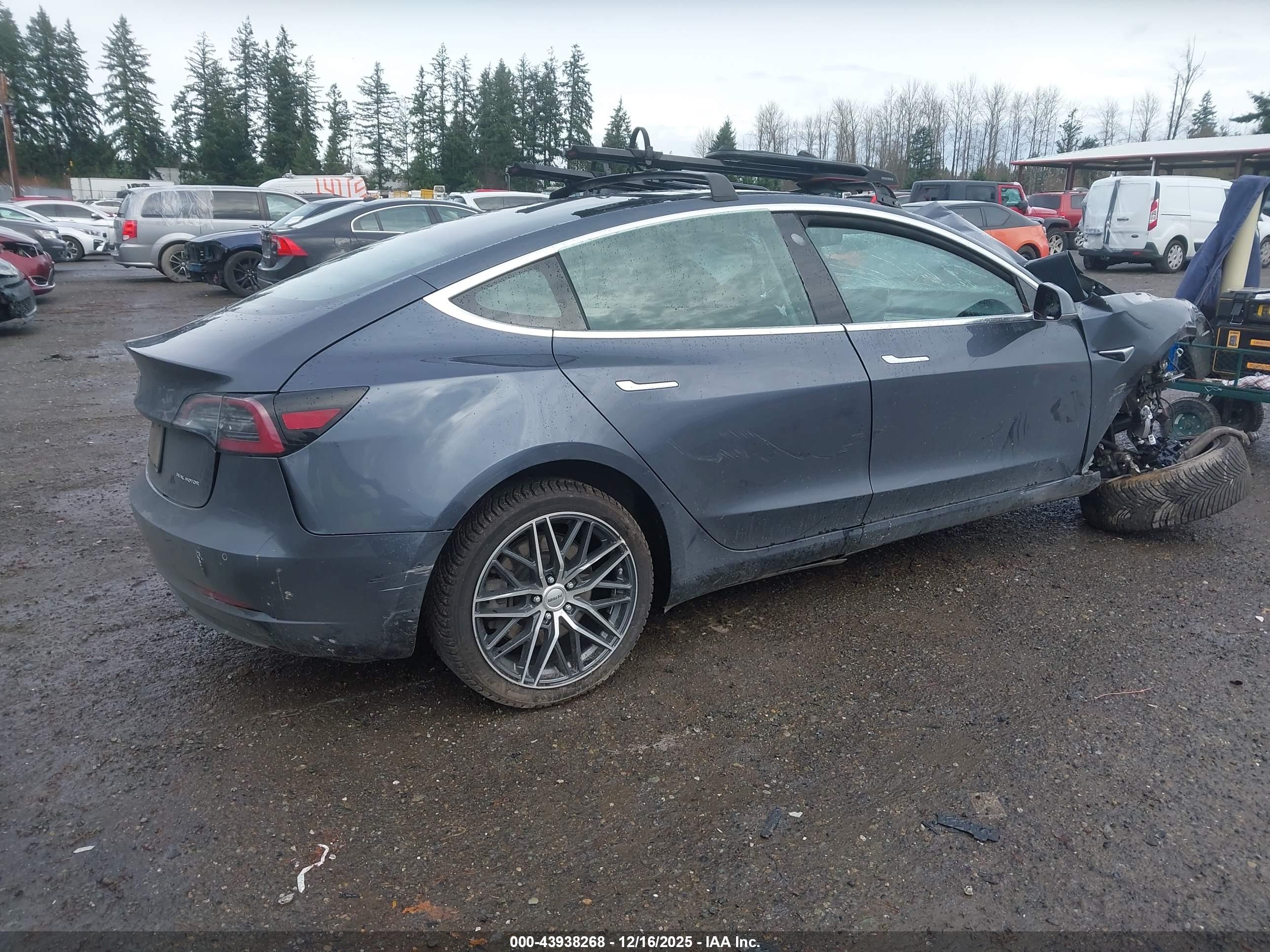 TESLA MODEL image 4