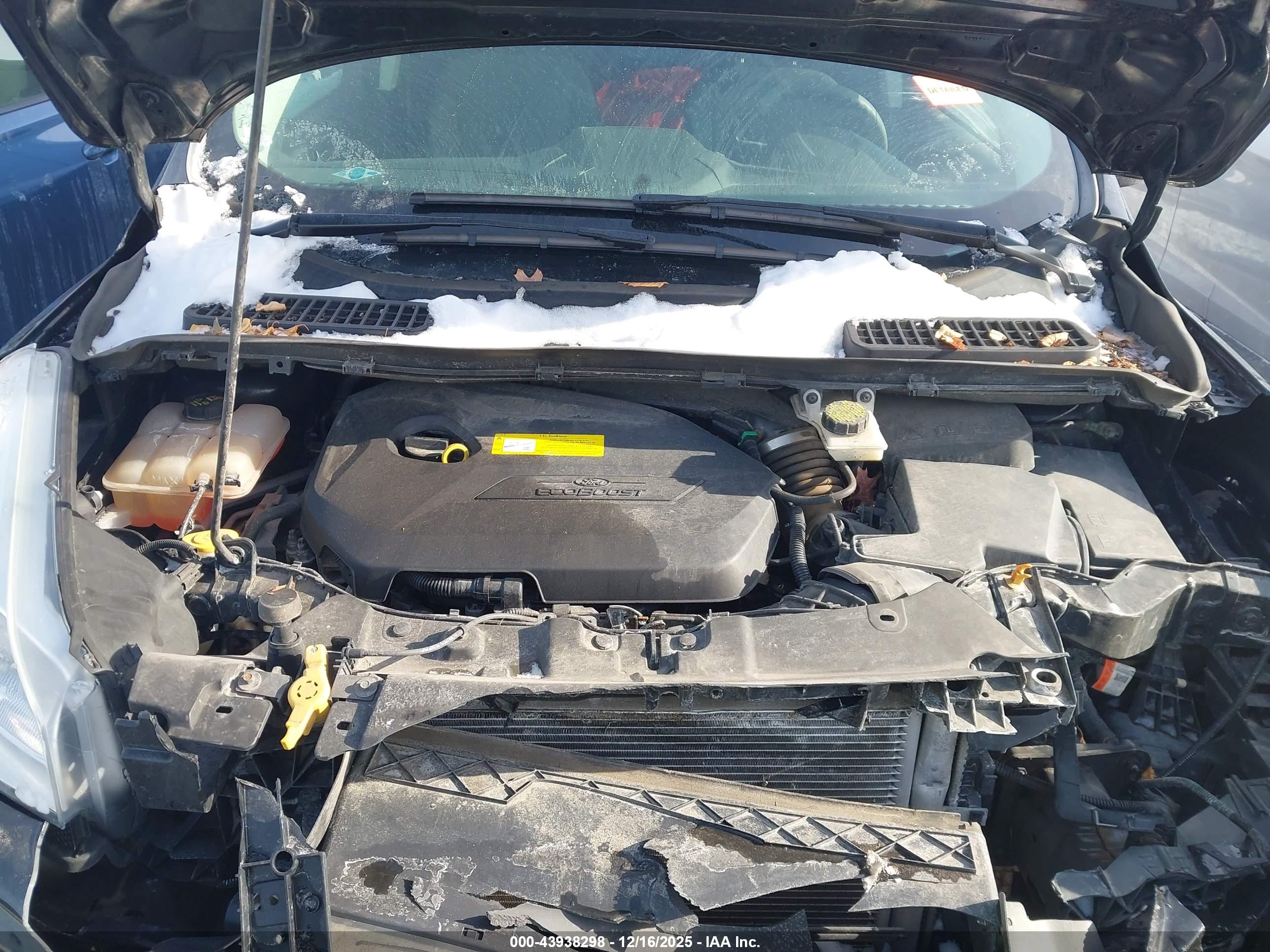 FORD ESCAPE image 10