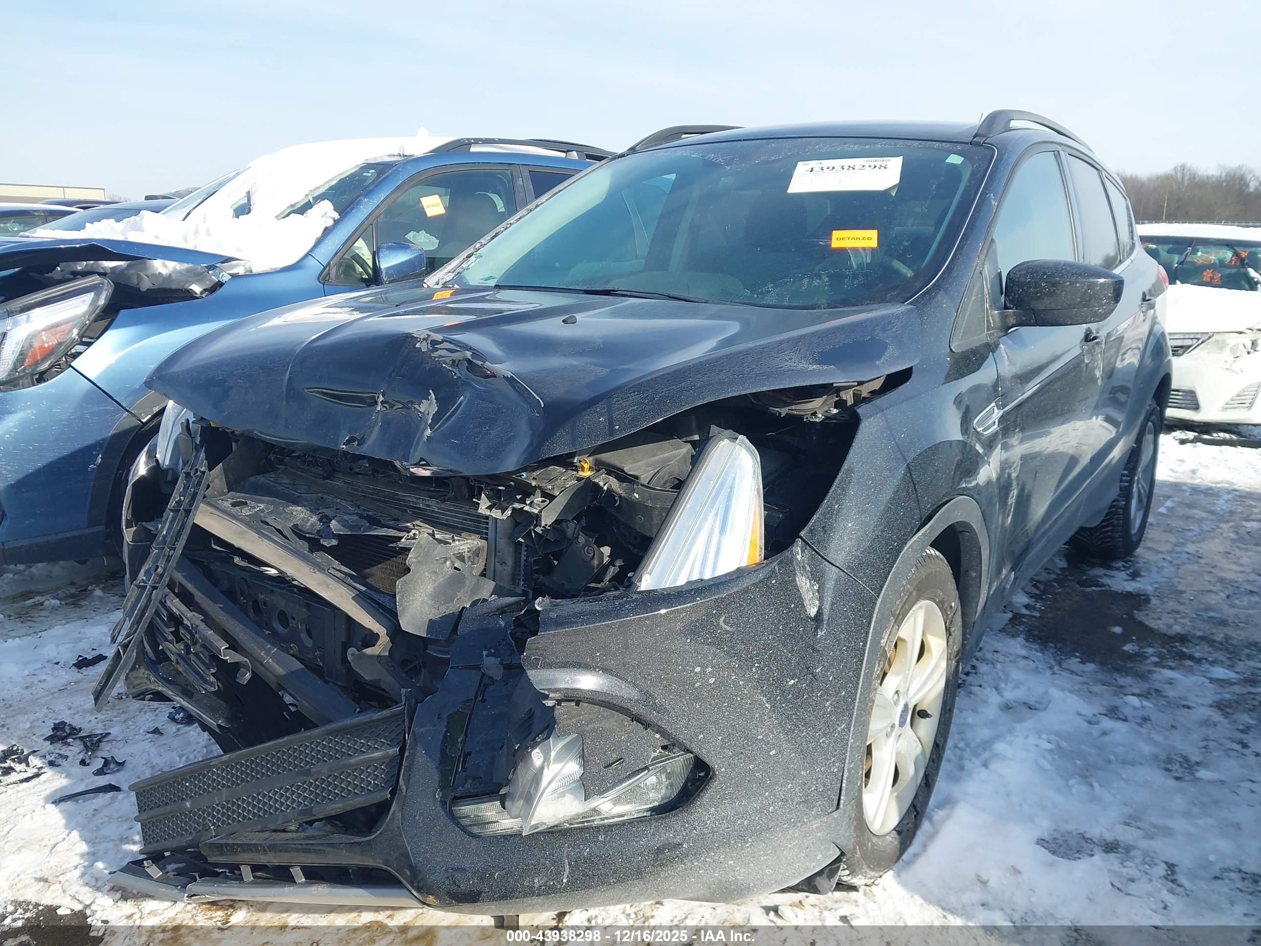 FORD ESCAPE image 2