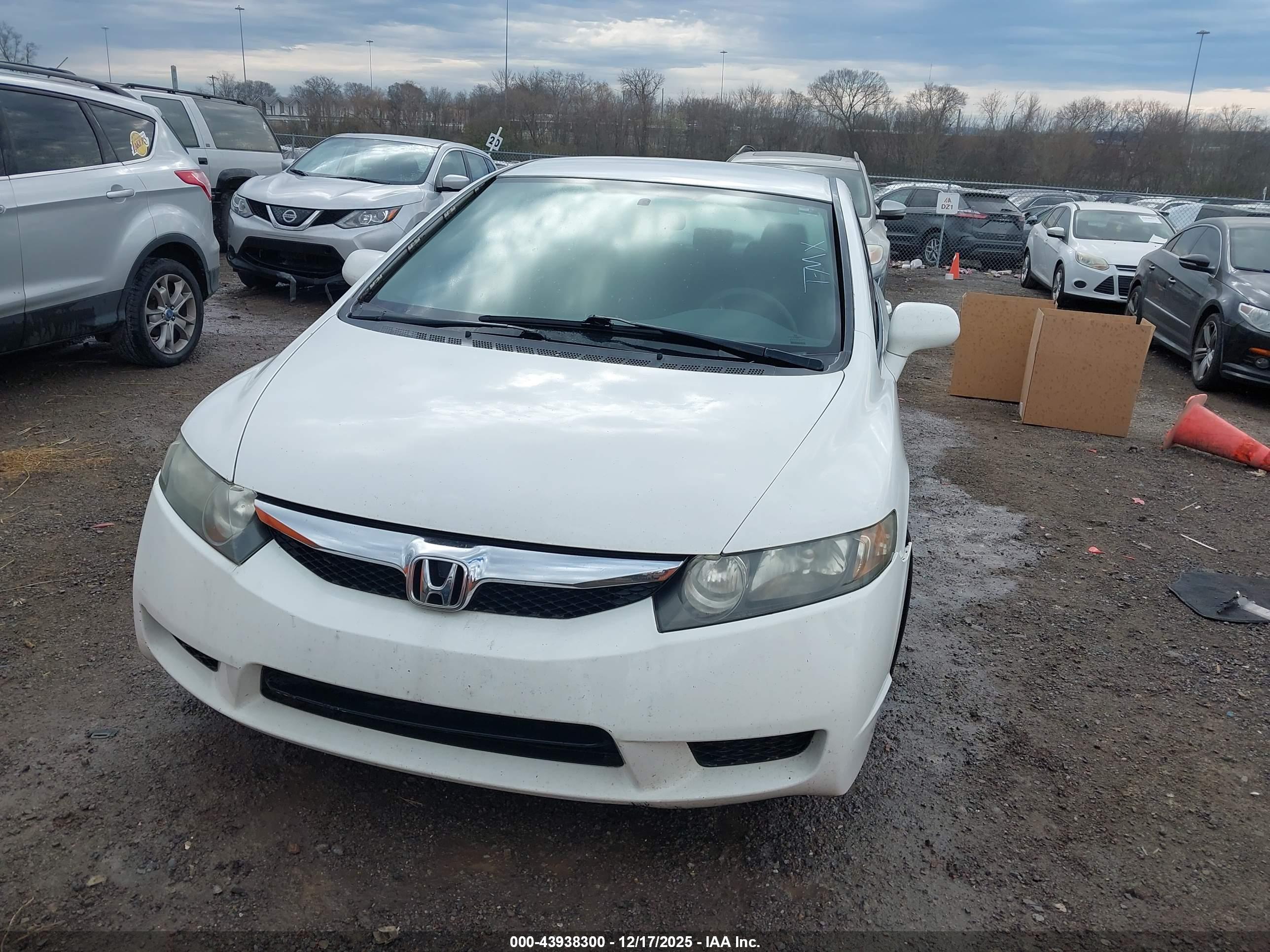 HONDA CIVIC image 6