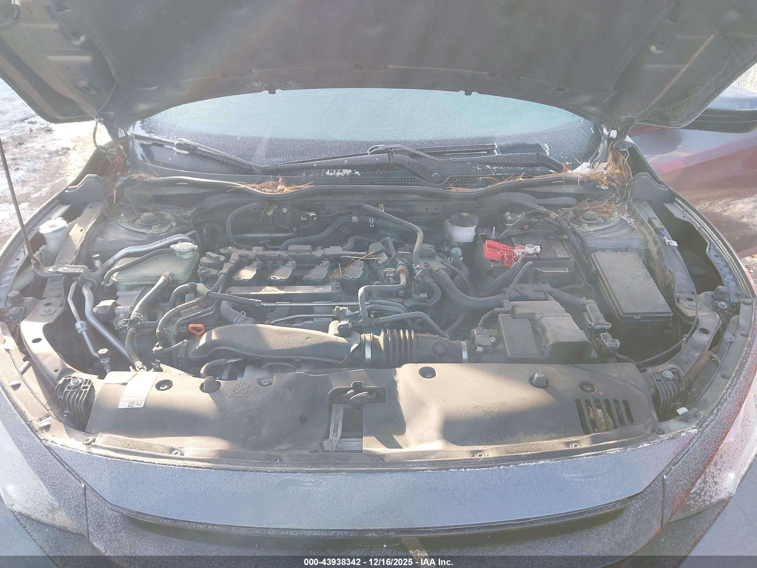 HONDA CIVIC image 10