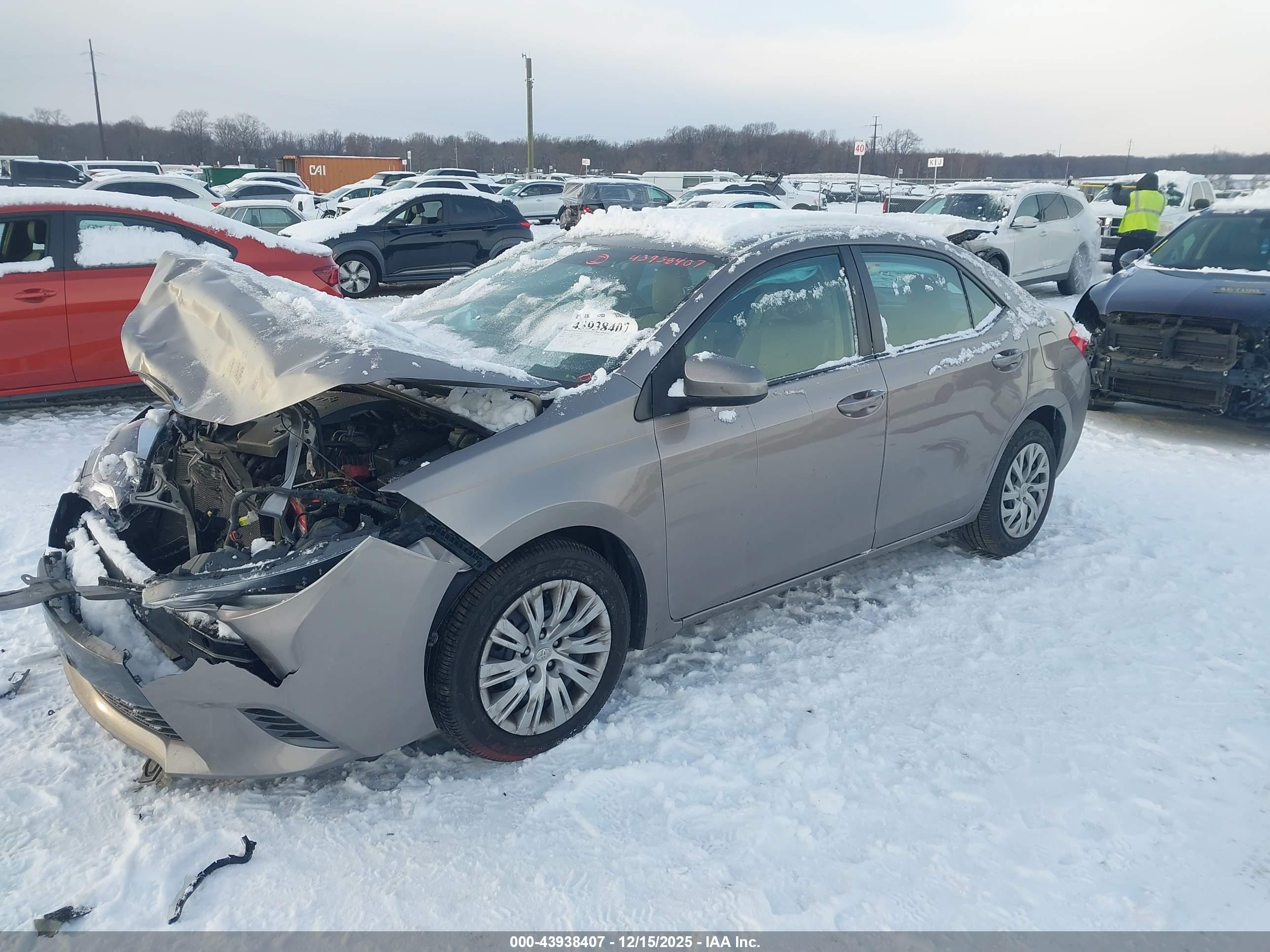 TOYOTA COROLLA image 2