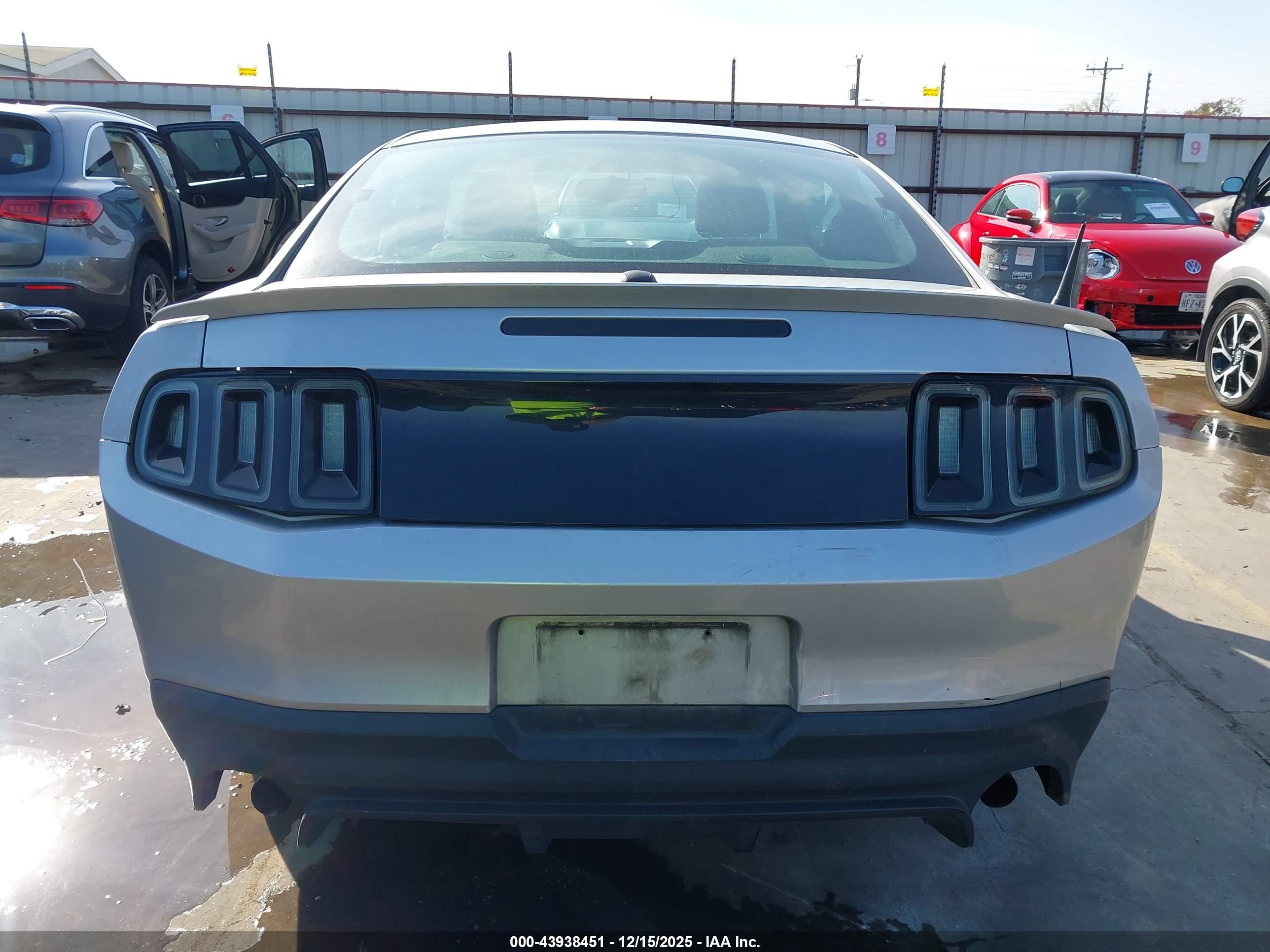 FORD MUSTANG image 6