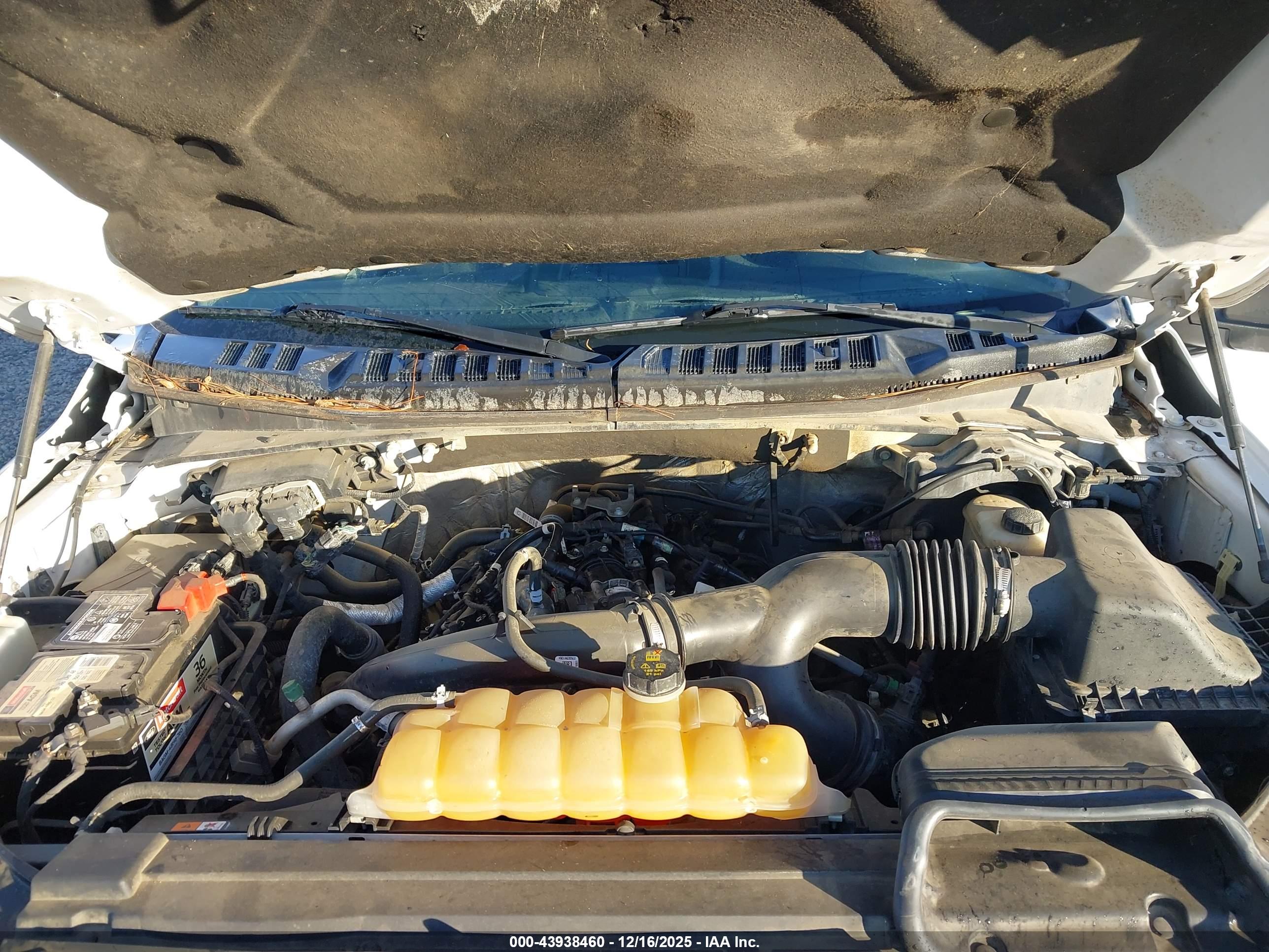 FORD F-150 image 10