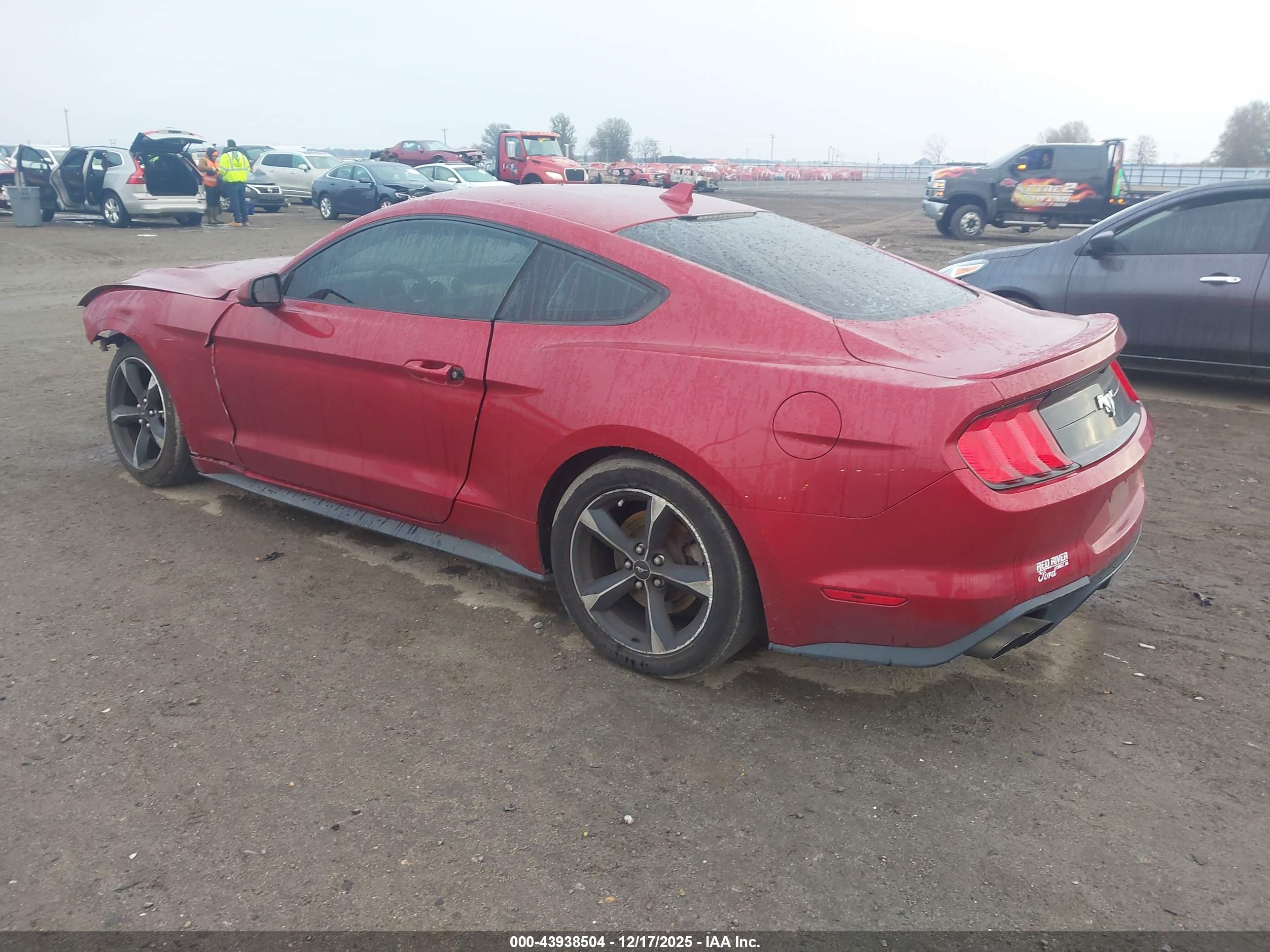 FORD MUSTANG image 3